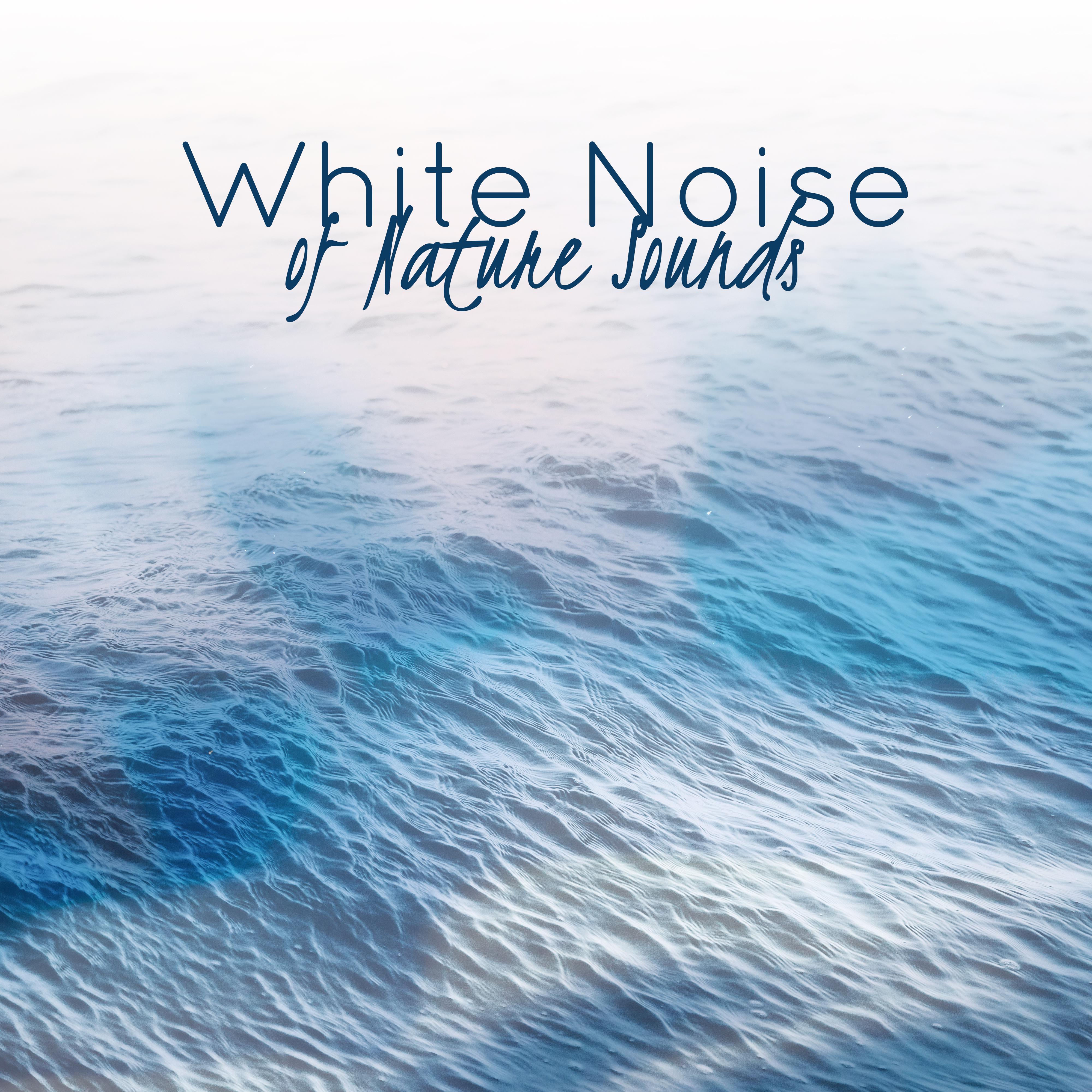 White Noise of Nature Sounds