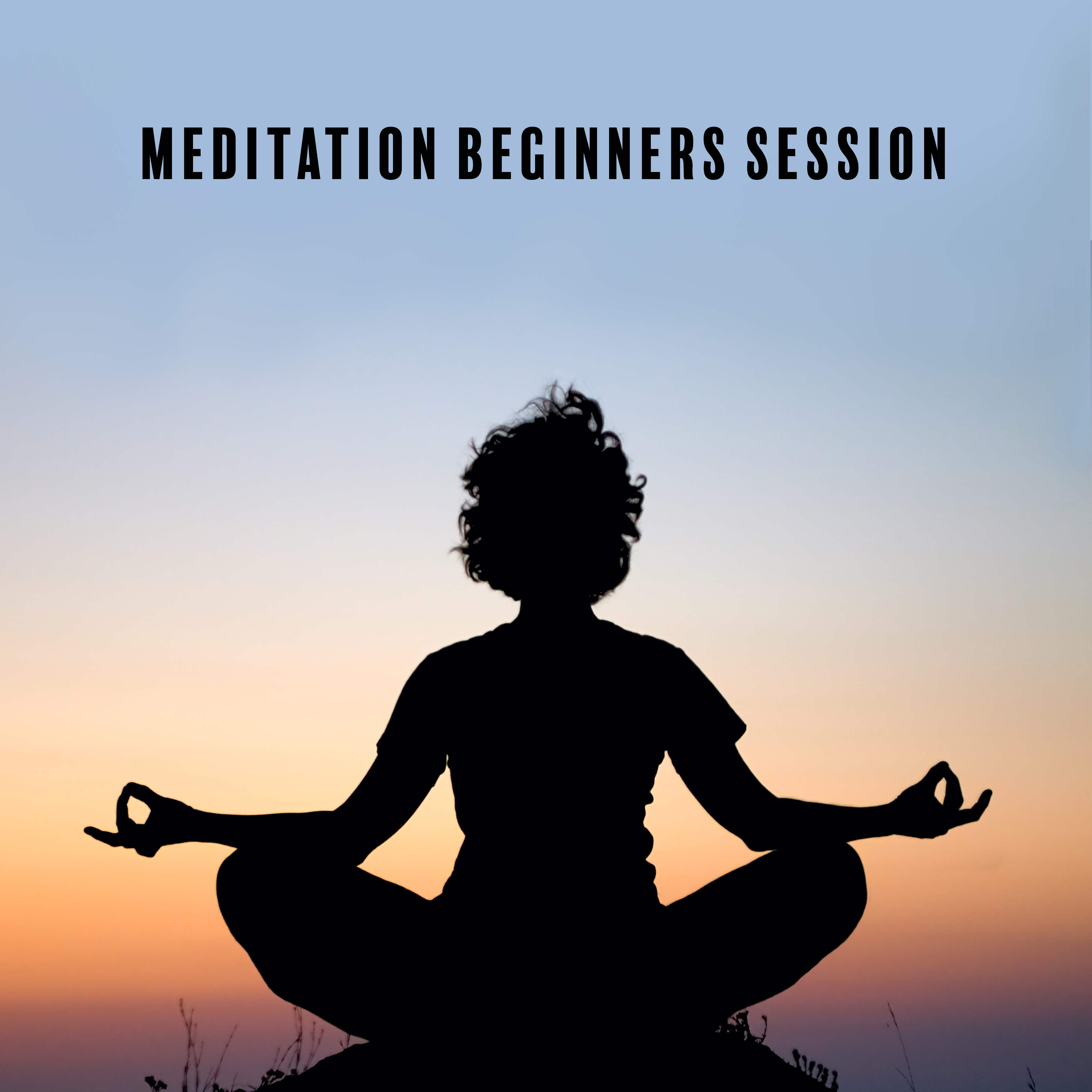 Meditation Beginners Session