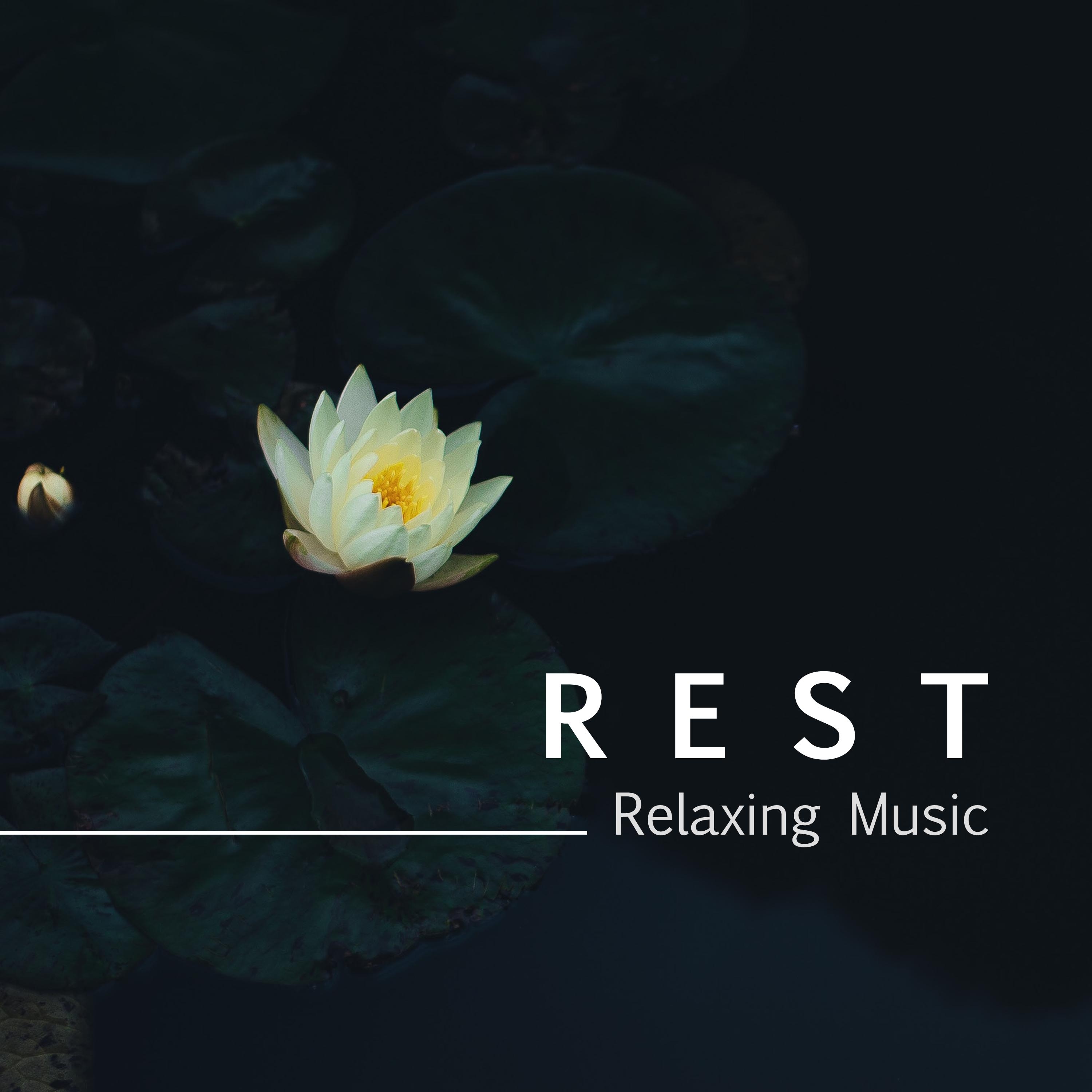 Rest: Nature Sounds, Songbird, Relaxing Music, Zen Songs for Meditation & Yoga