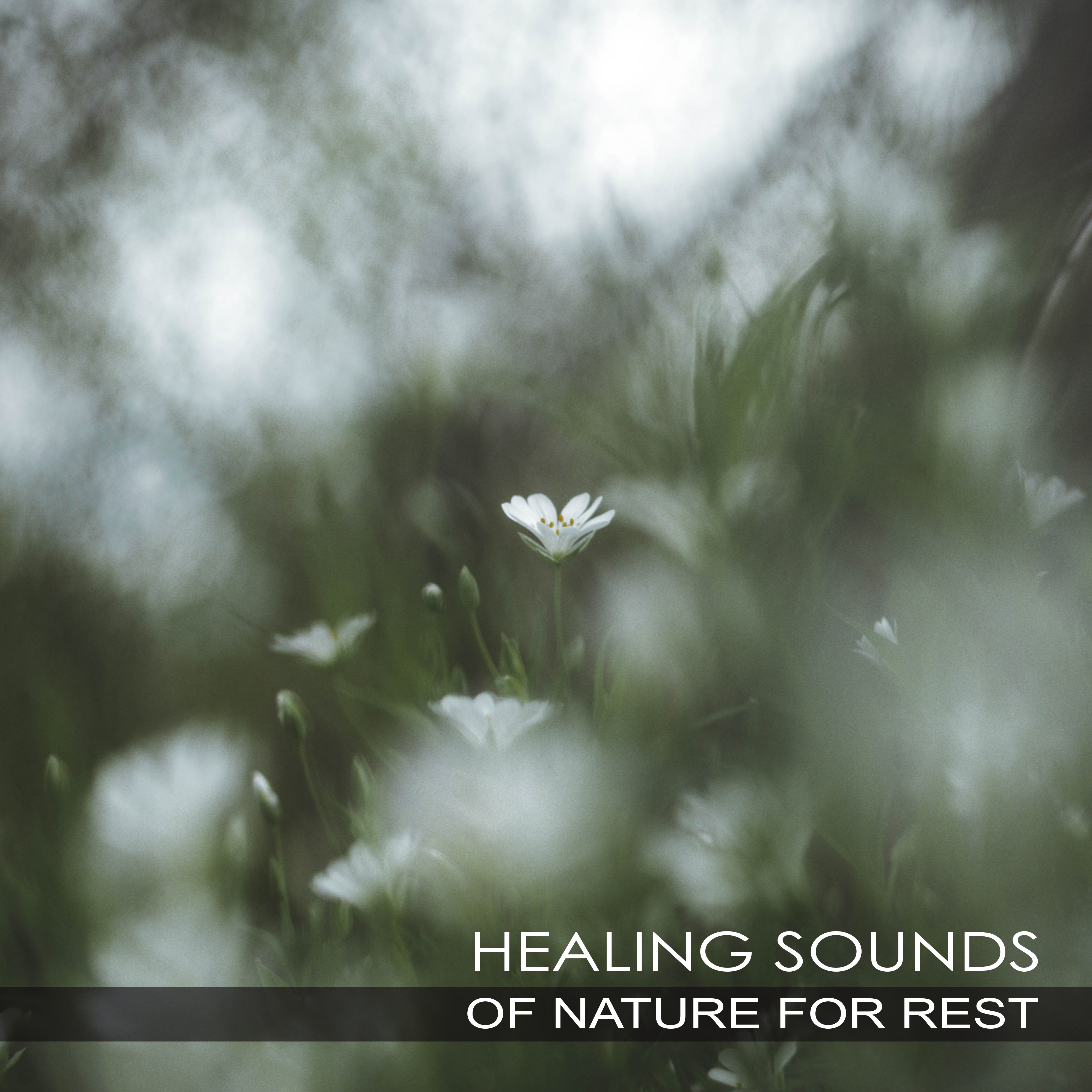 Healing Sounds of Nature for Rest