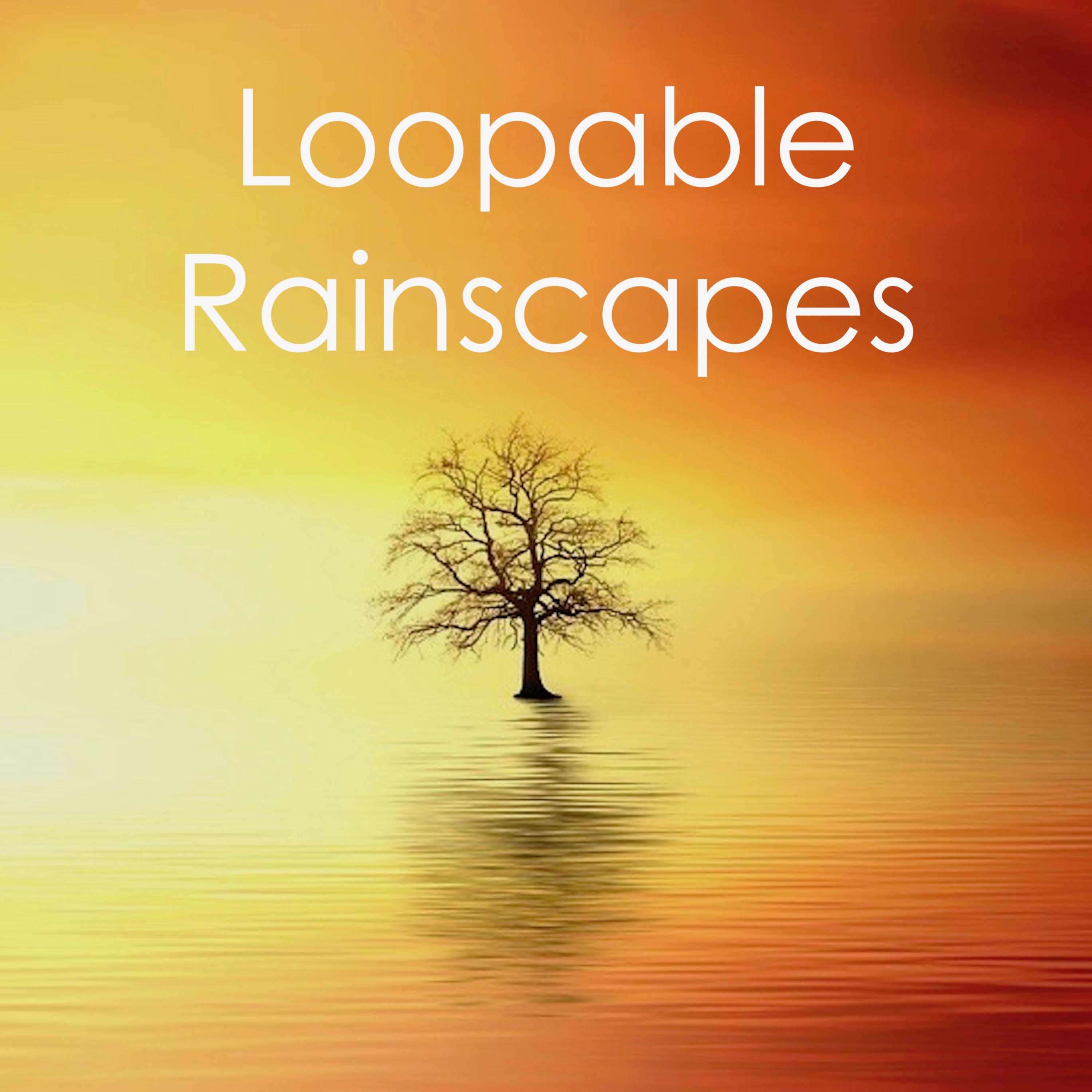 19 Relaxing Loopable Rainscapes