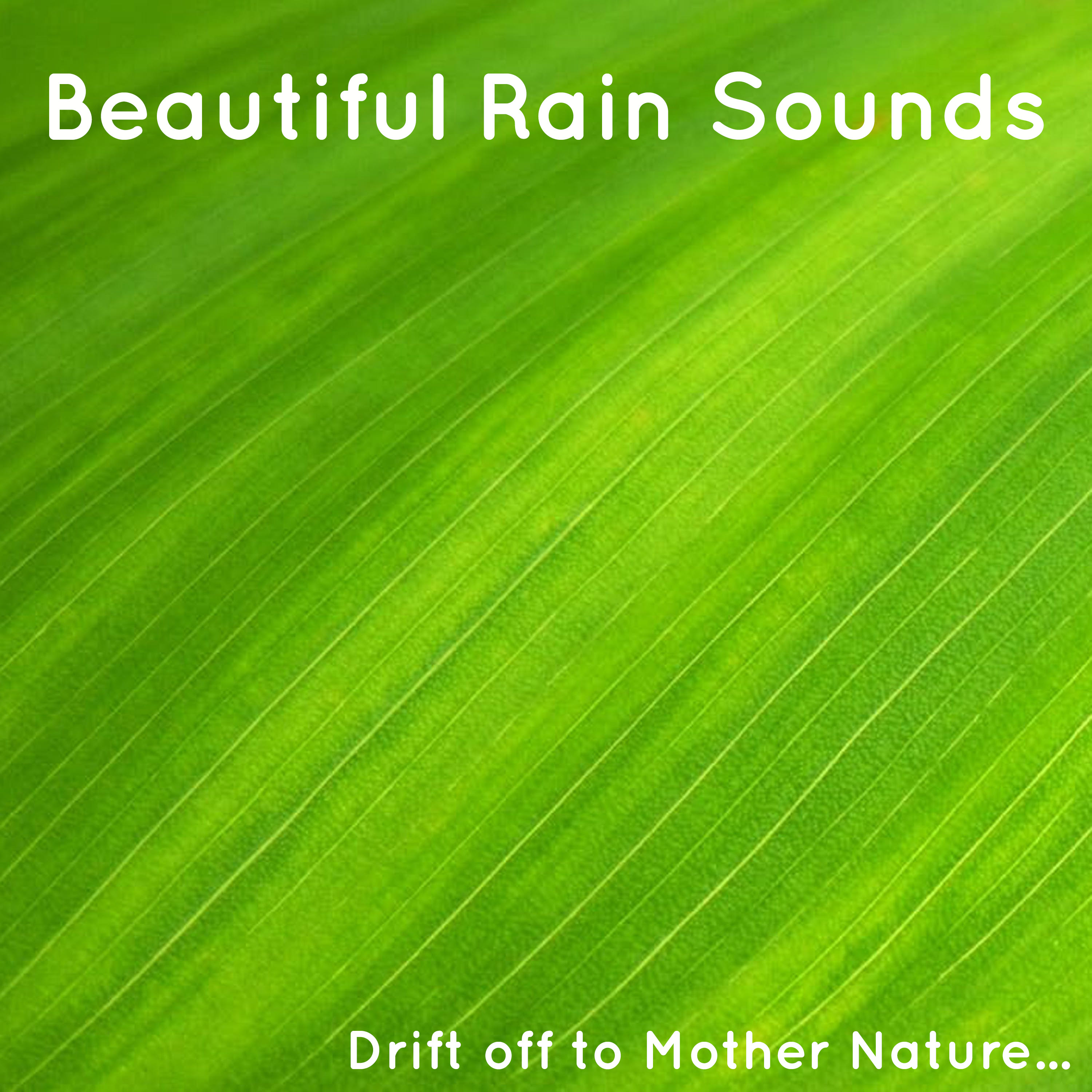 15 Beautiful Rain Sound. Drift Off, Relax, Meditate to Mother Nature