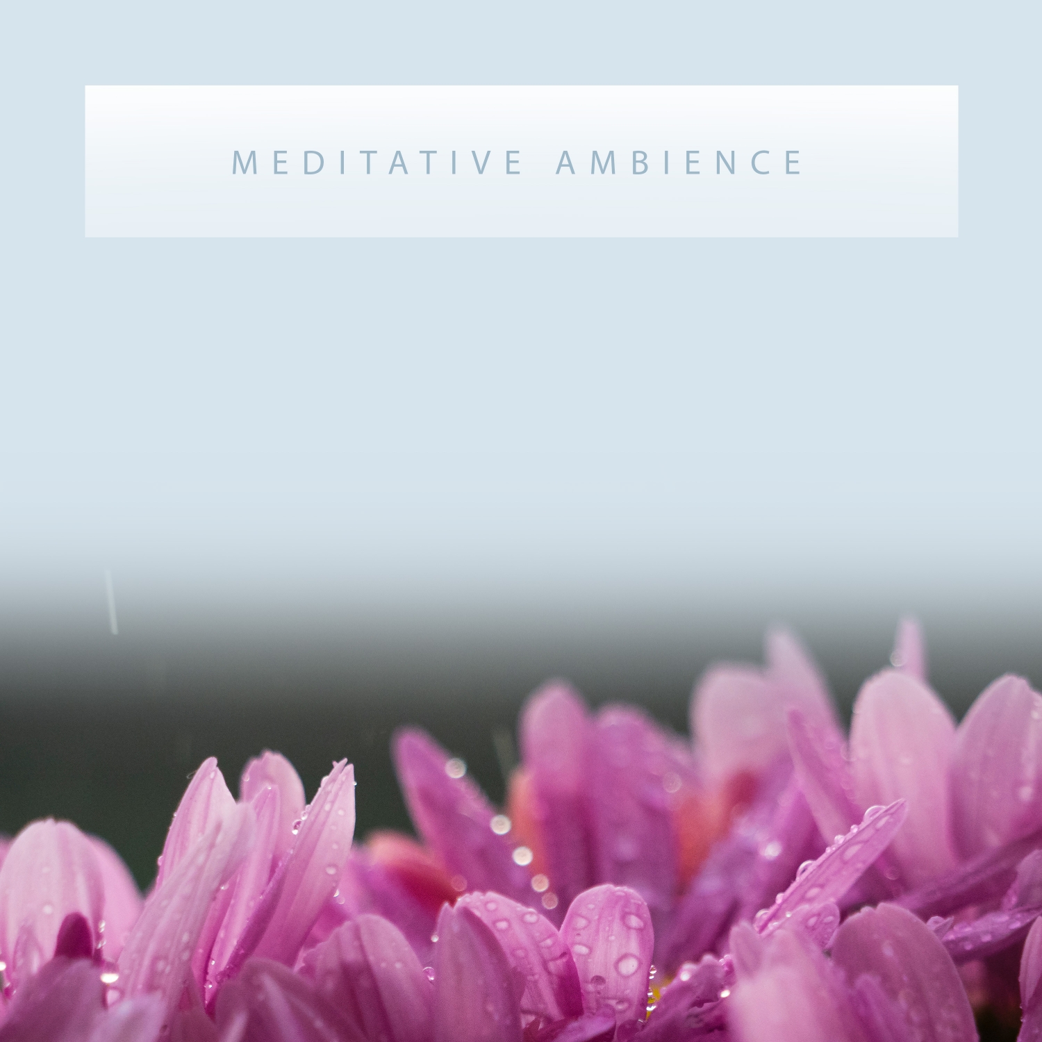 13 Tracks of Meditative Ambience - Nature's Miracle Cure