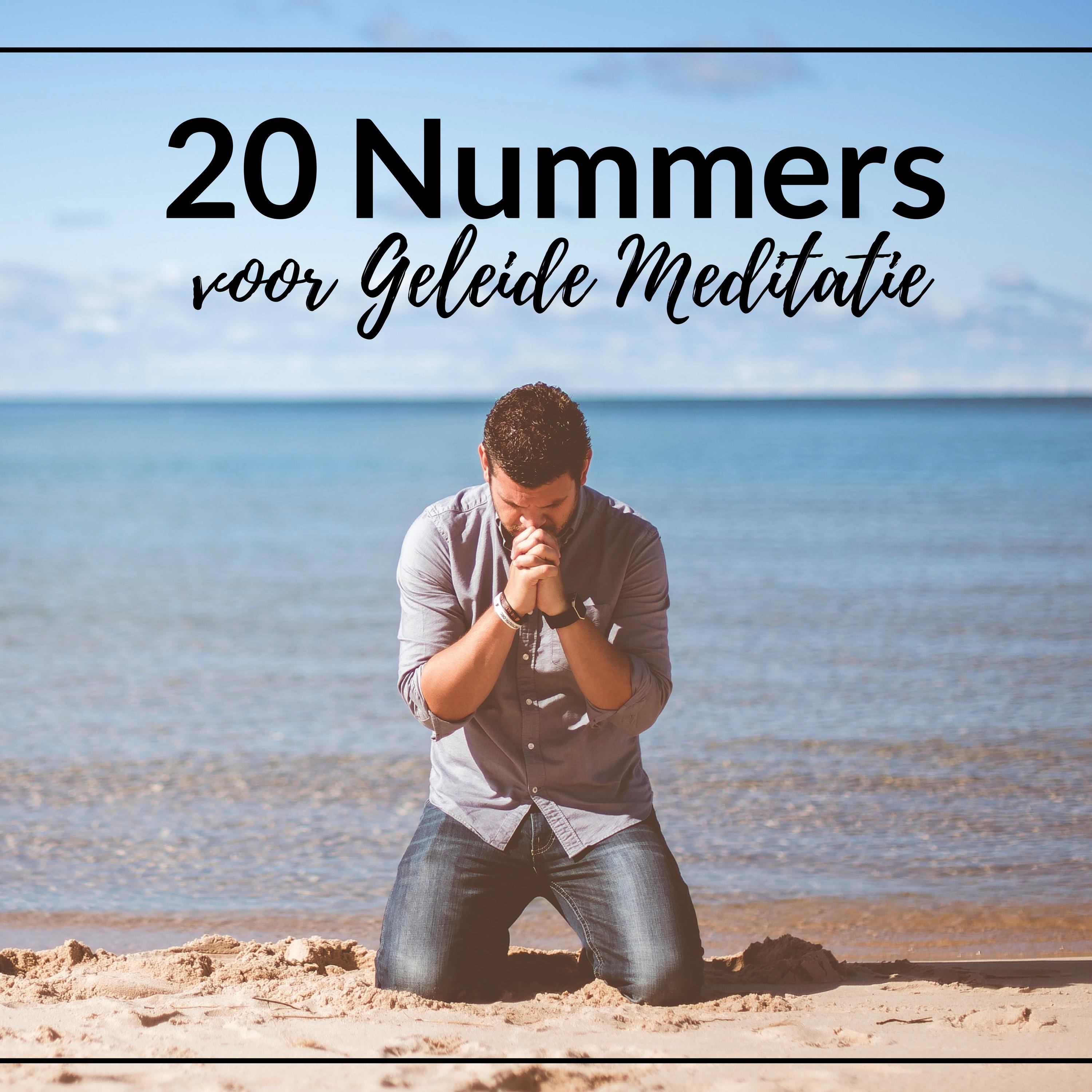 20 Nummers voor Geleide Meditatie: achtergrond boeddhistische muziek, innerlijke vrede, vreugde, geluk, kalmerende muziek