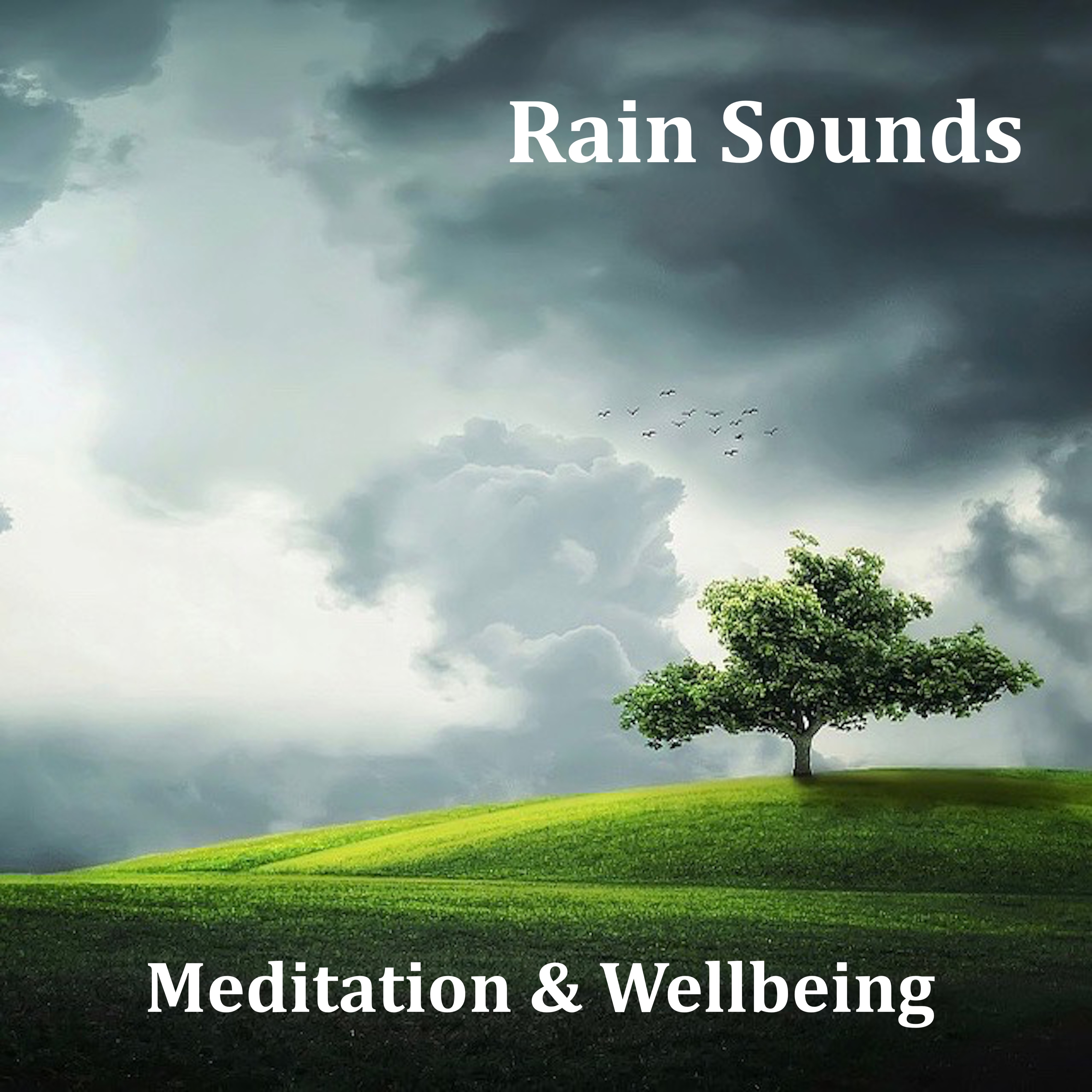 13 Loopable Meditation Rain Sounds for Mindfulness and Wellbeing