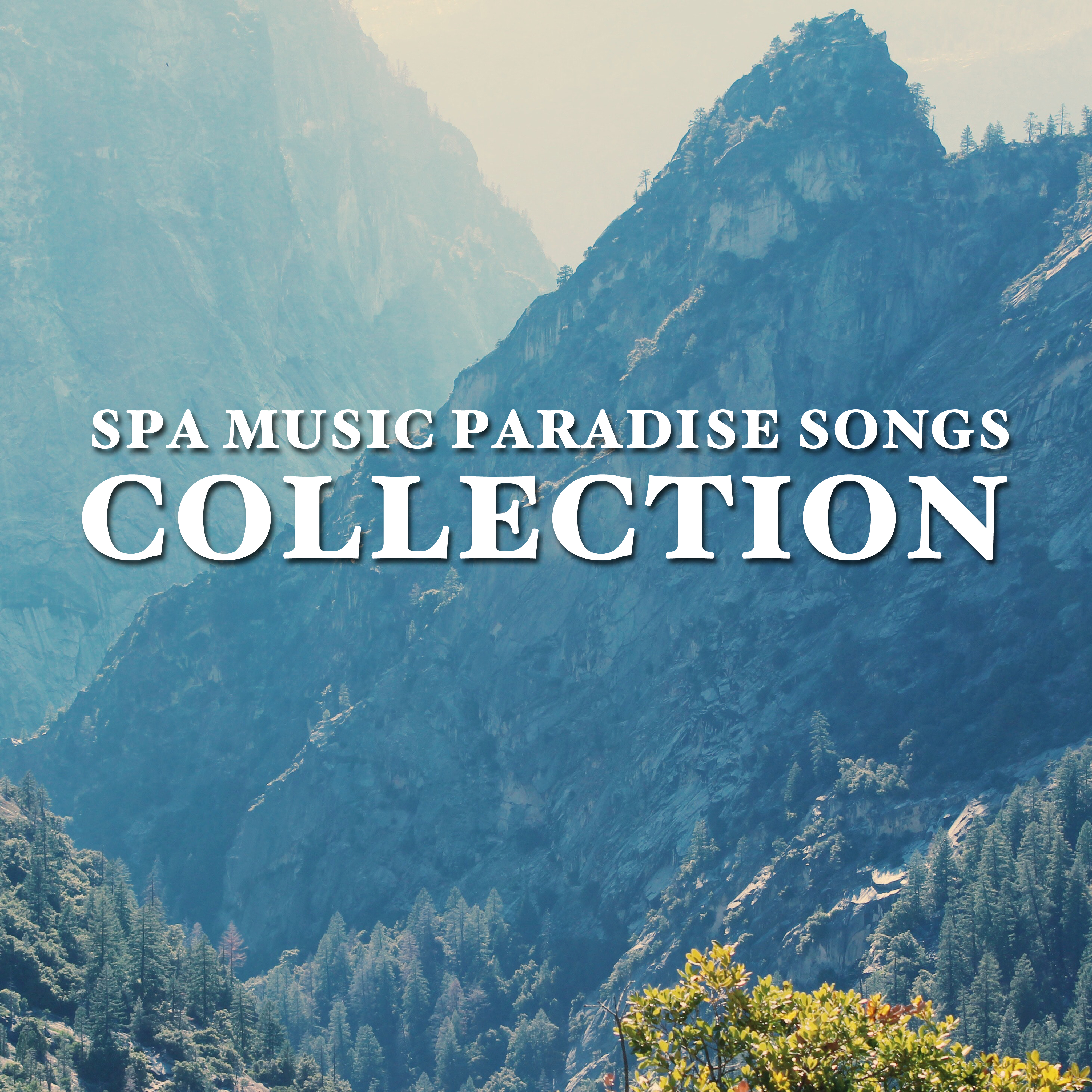 16 Spa Music Paradise Songs Collection