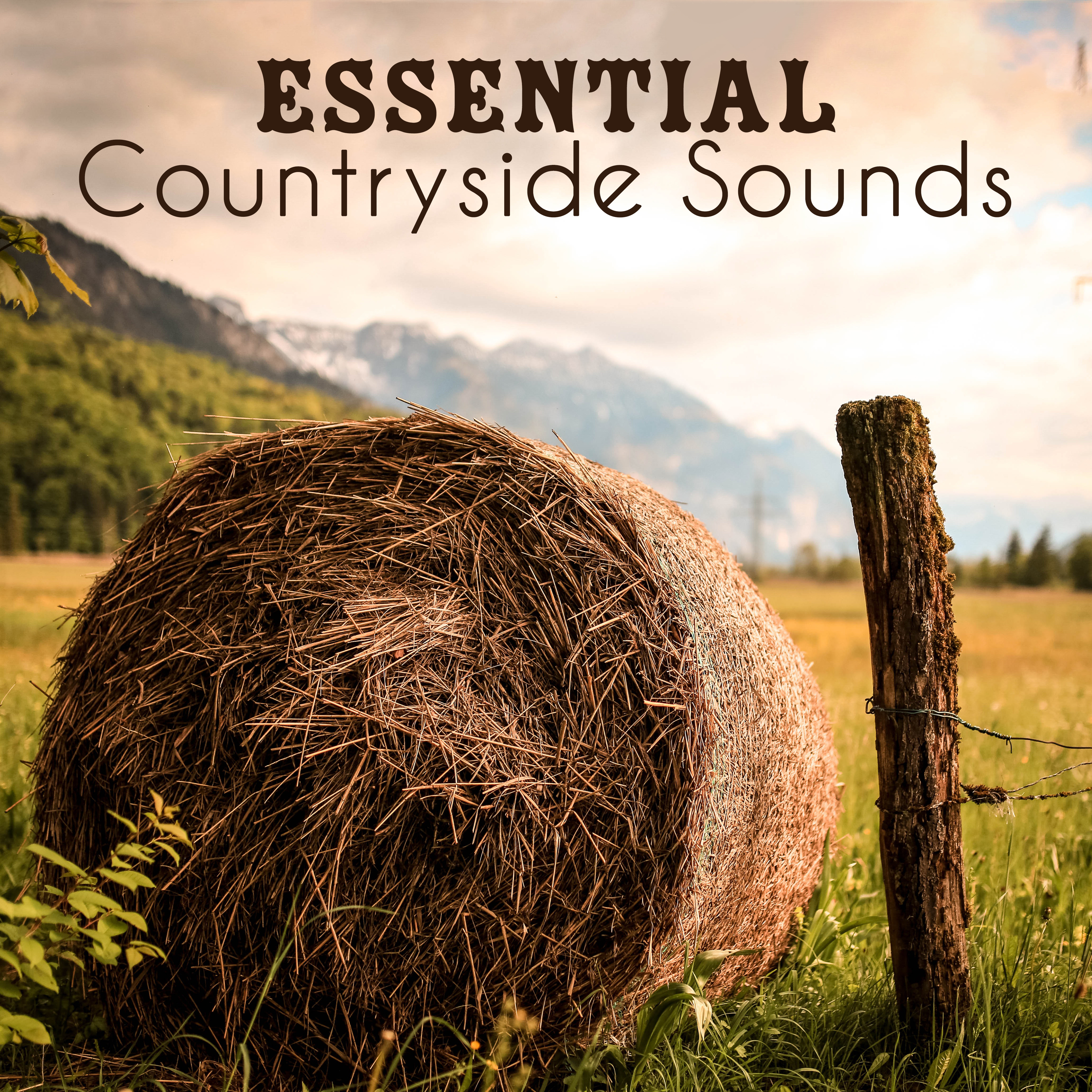 Essential Countryside Sounds