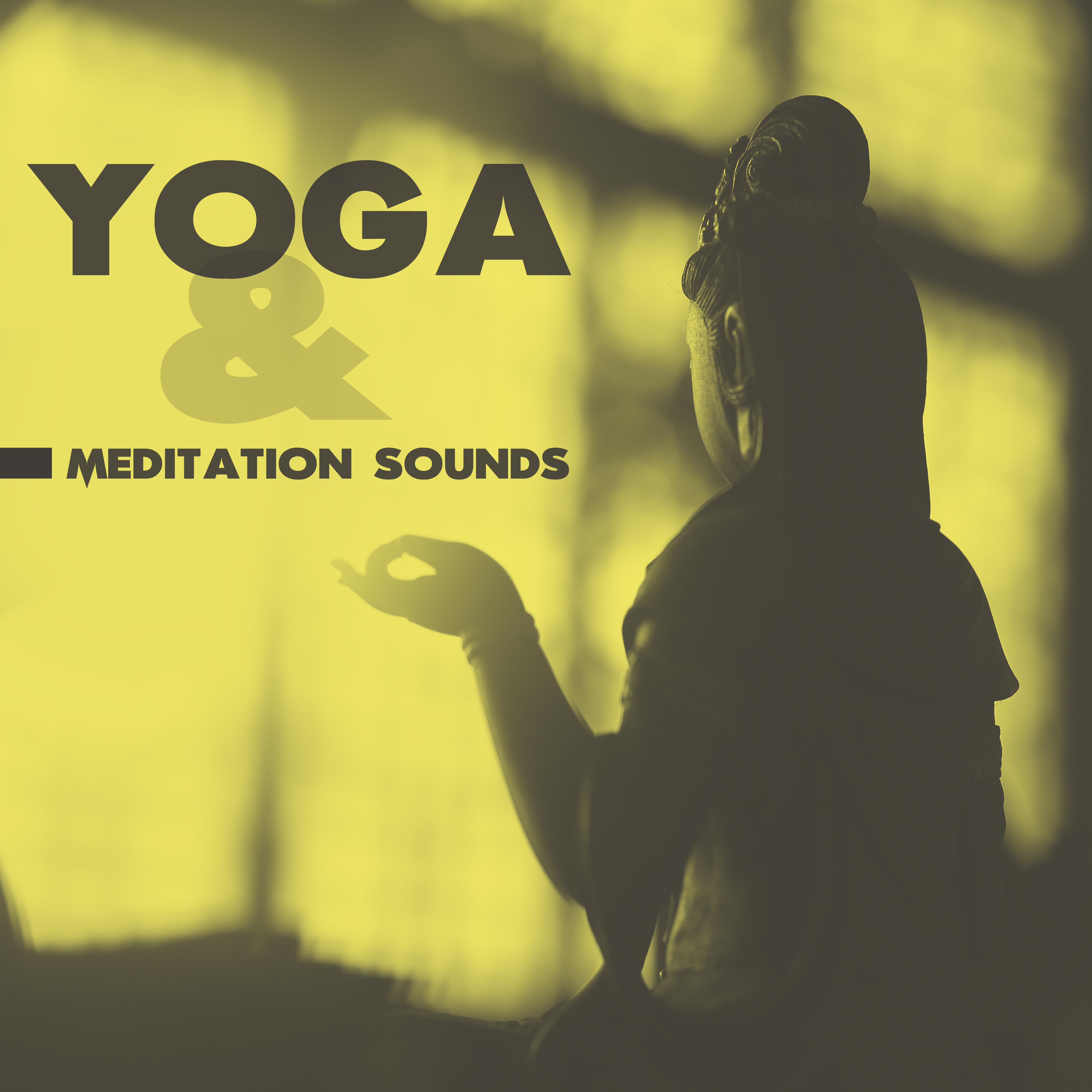 Yoga & Meditation Sounds