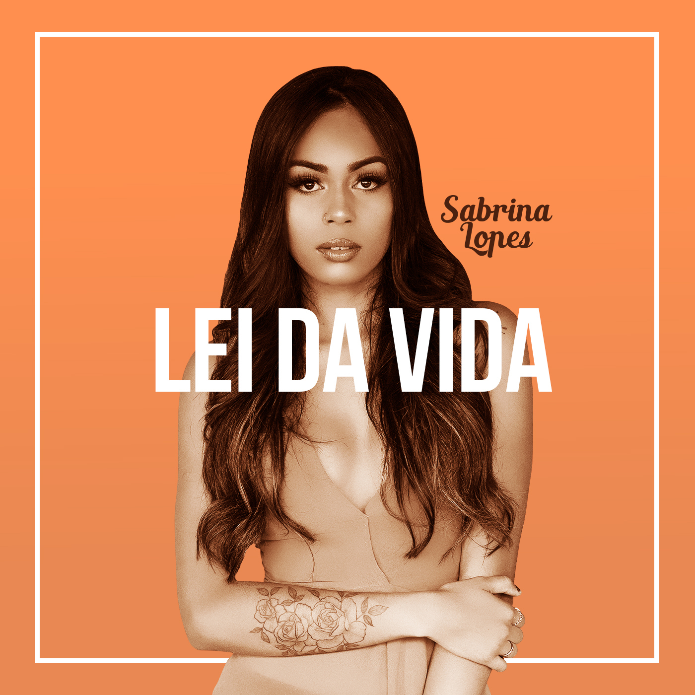 Lei da Vida