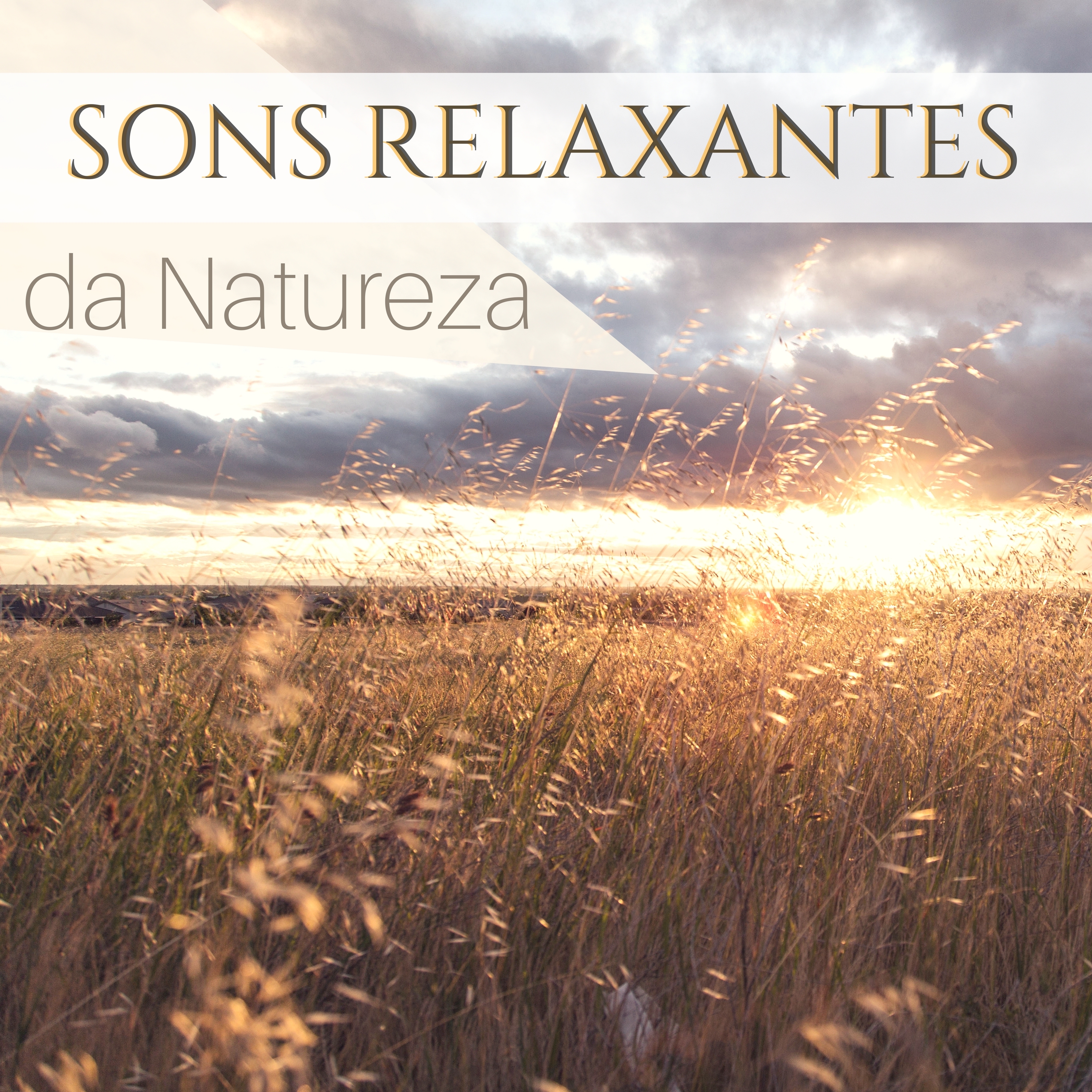 Sons Relaxantes da Natureza - Música Relaxante para o Sono das Crianças