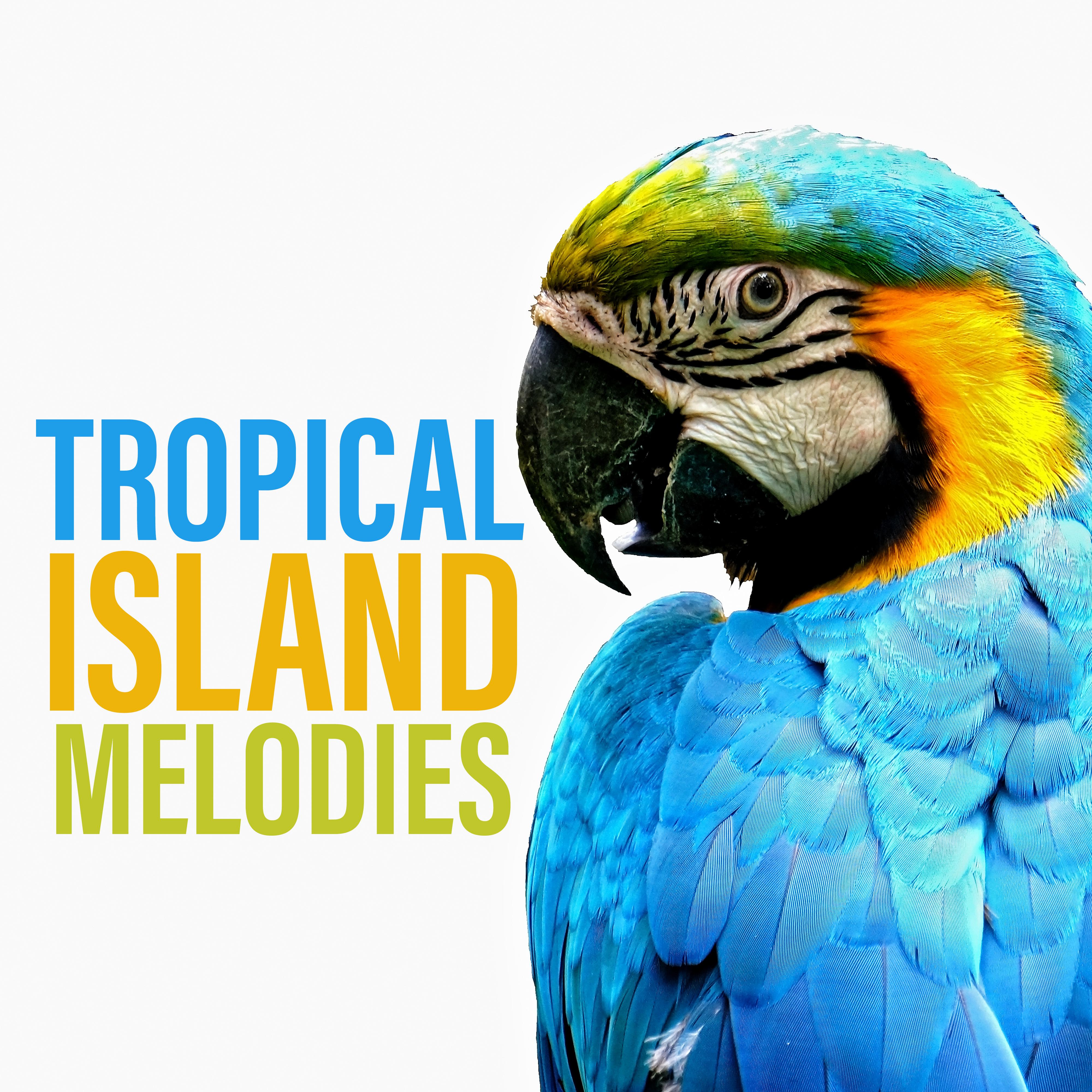 Tropical Island Melodies