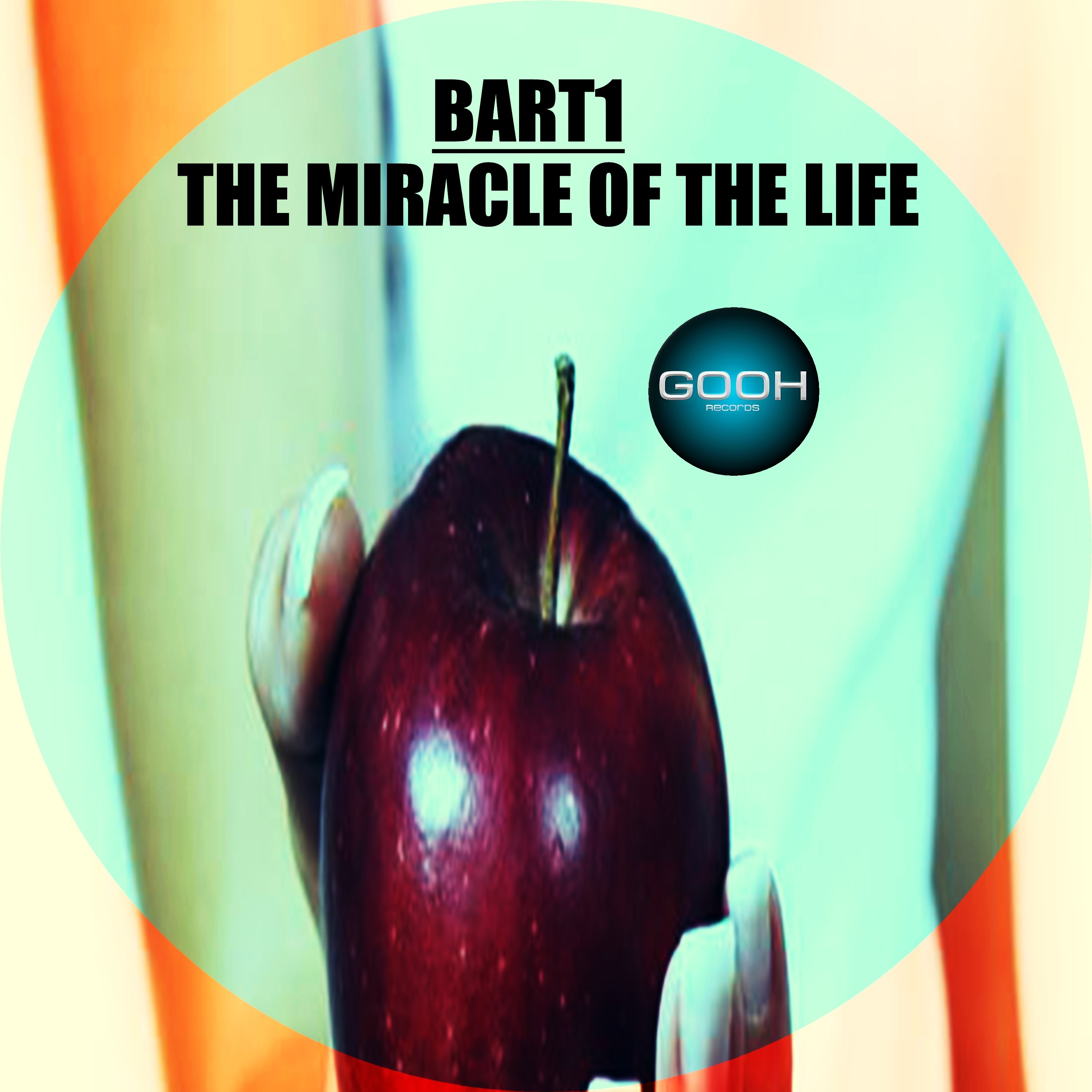 The Miracle of the Life