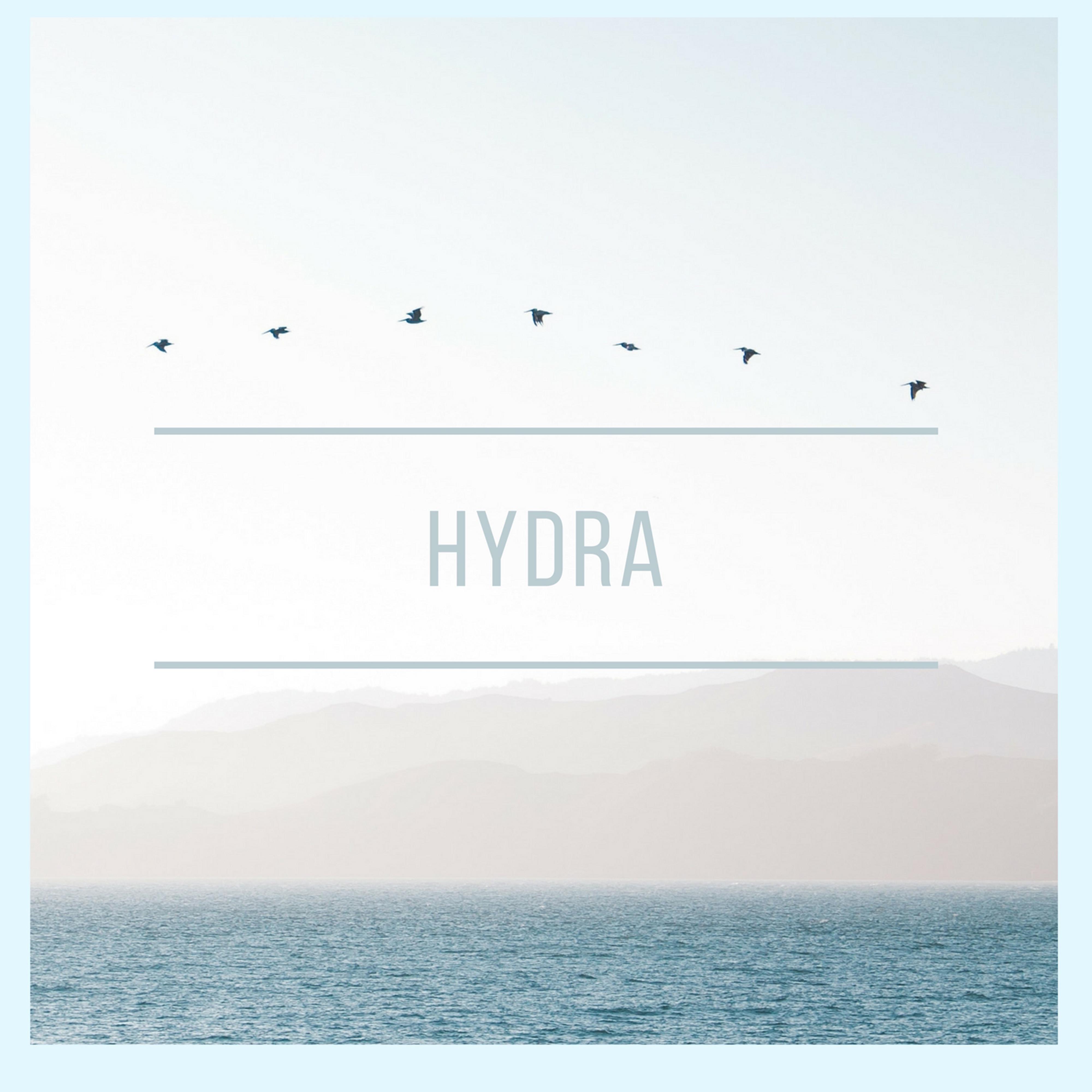 Hydra