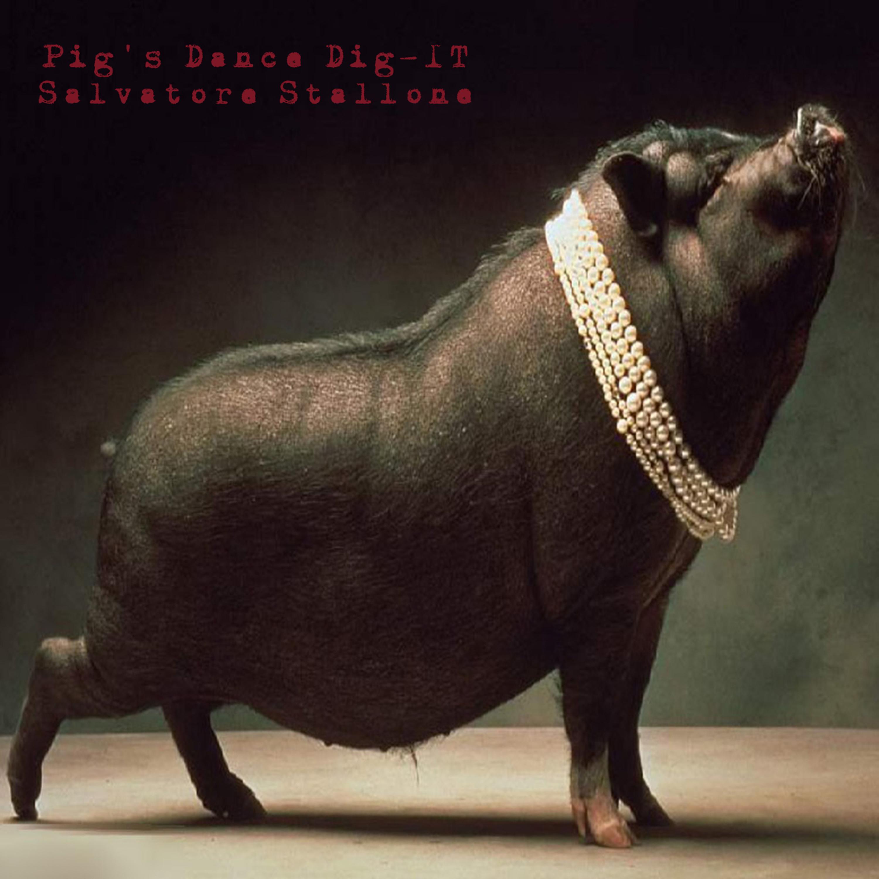 Pig's Dance Digi-IT