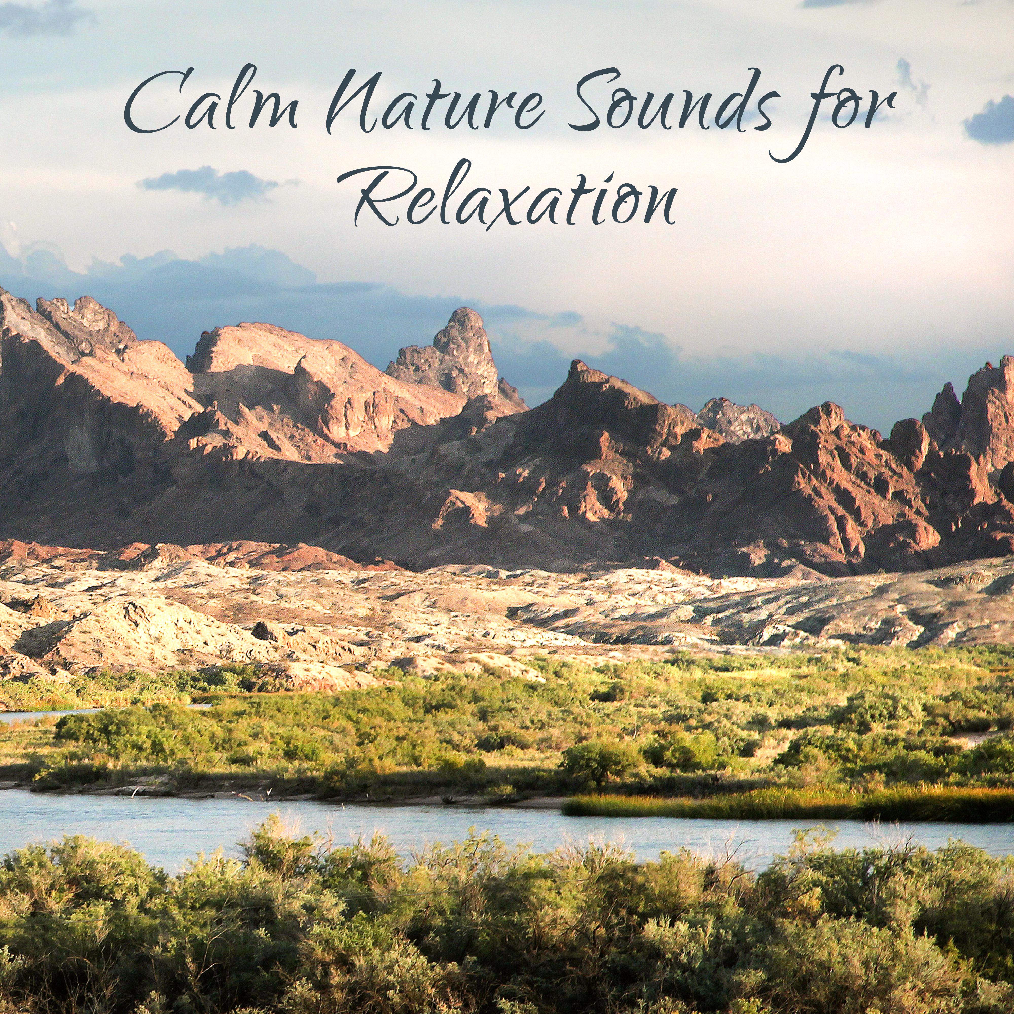 Calm Nature Sounds for Relaxation