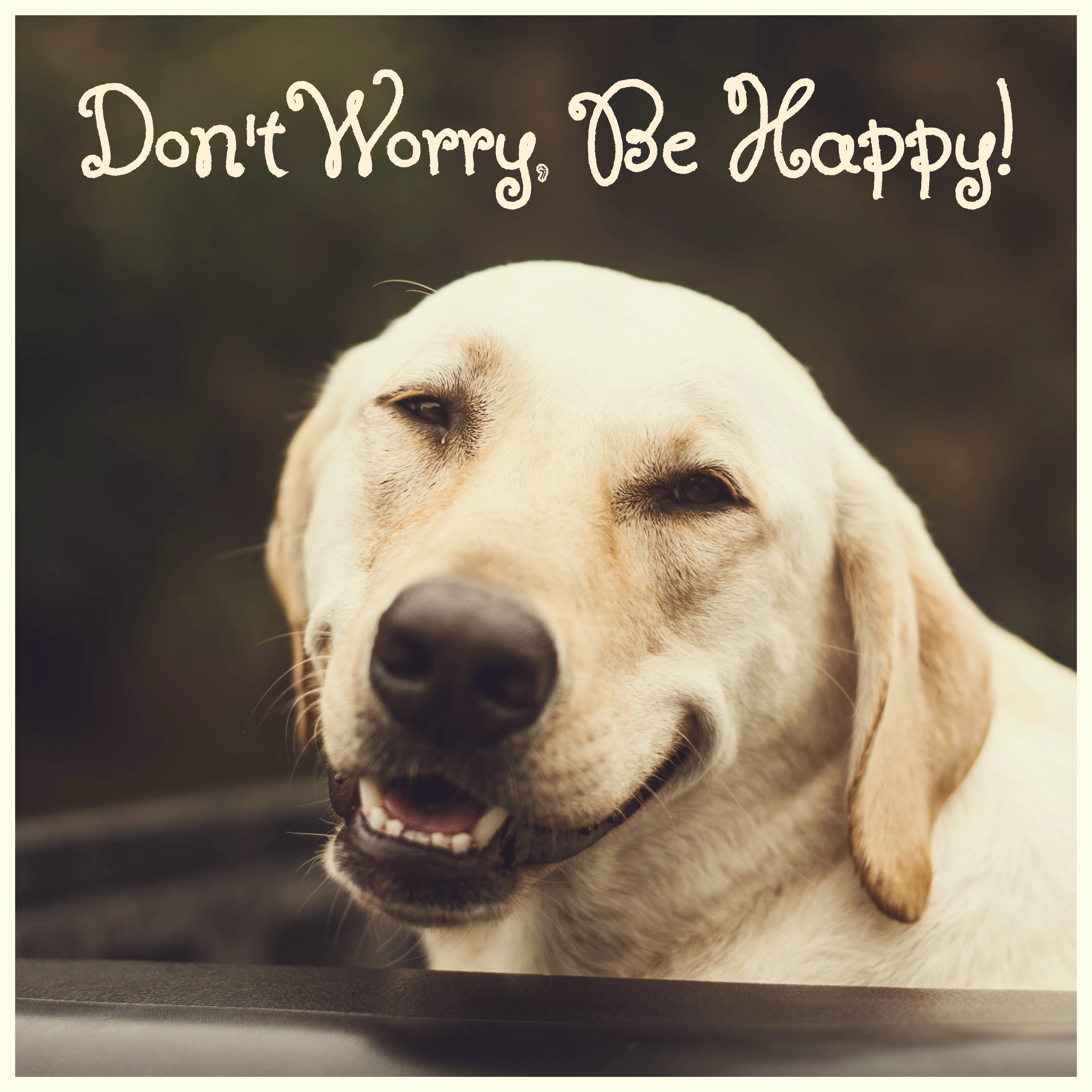 Don't Worry, Be Happy!