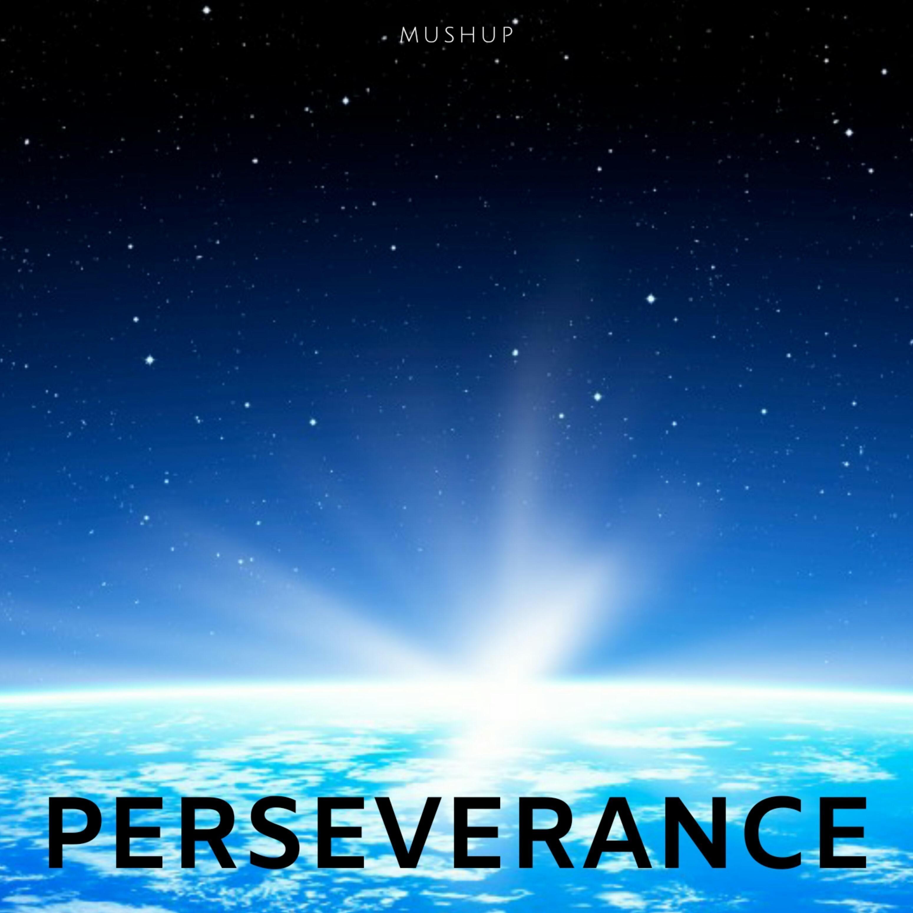 Perseverance