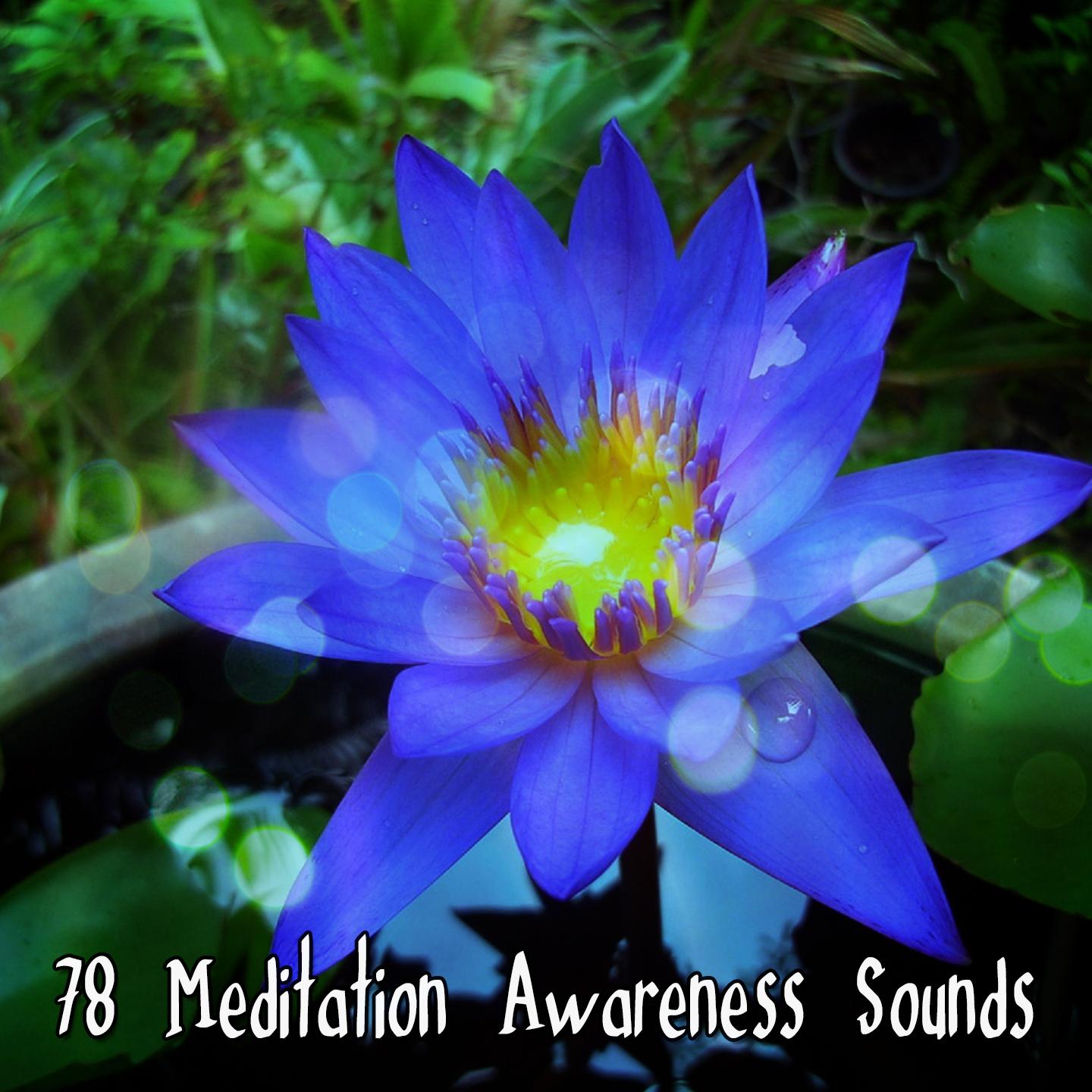 78 Meditation Awareness Sounds