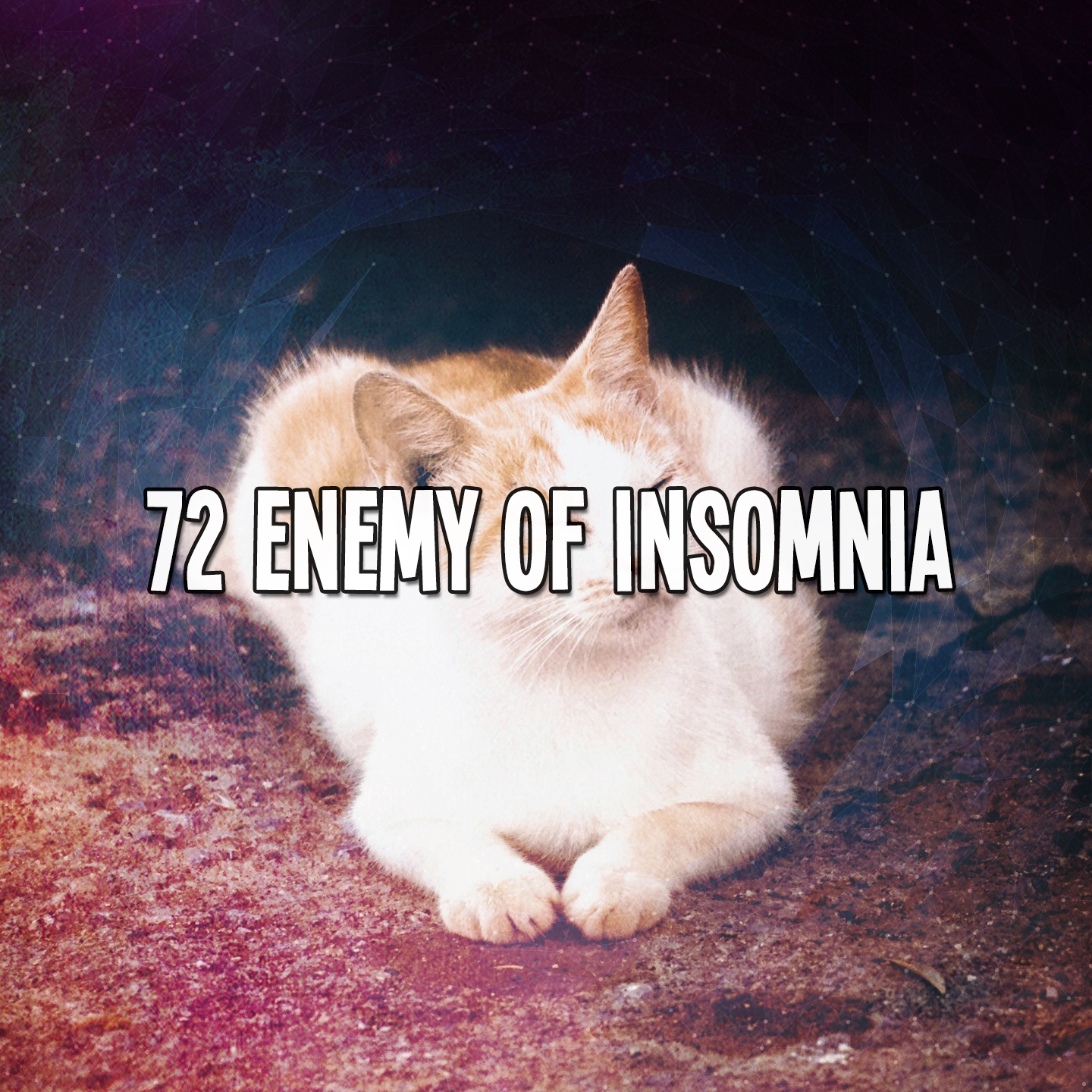 72 Enemy Of Insomnia