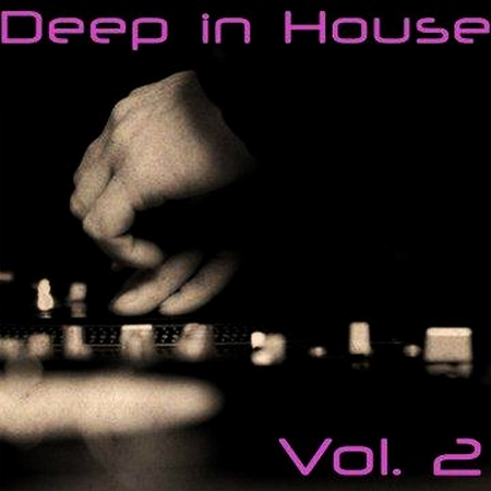 Deep in House Vol. 2