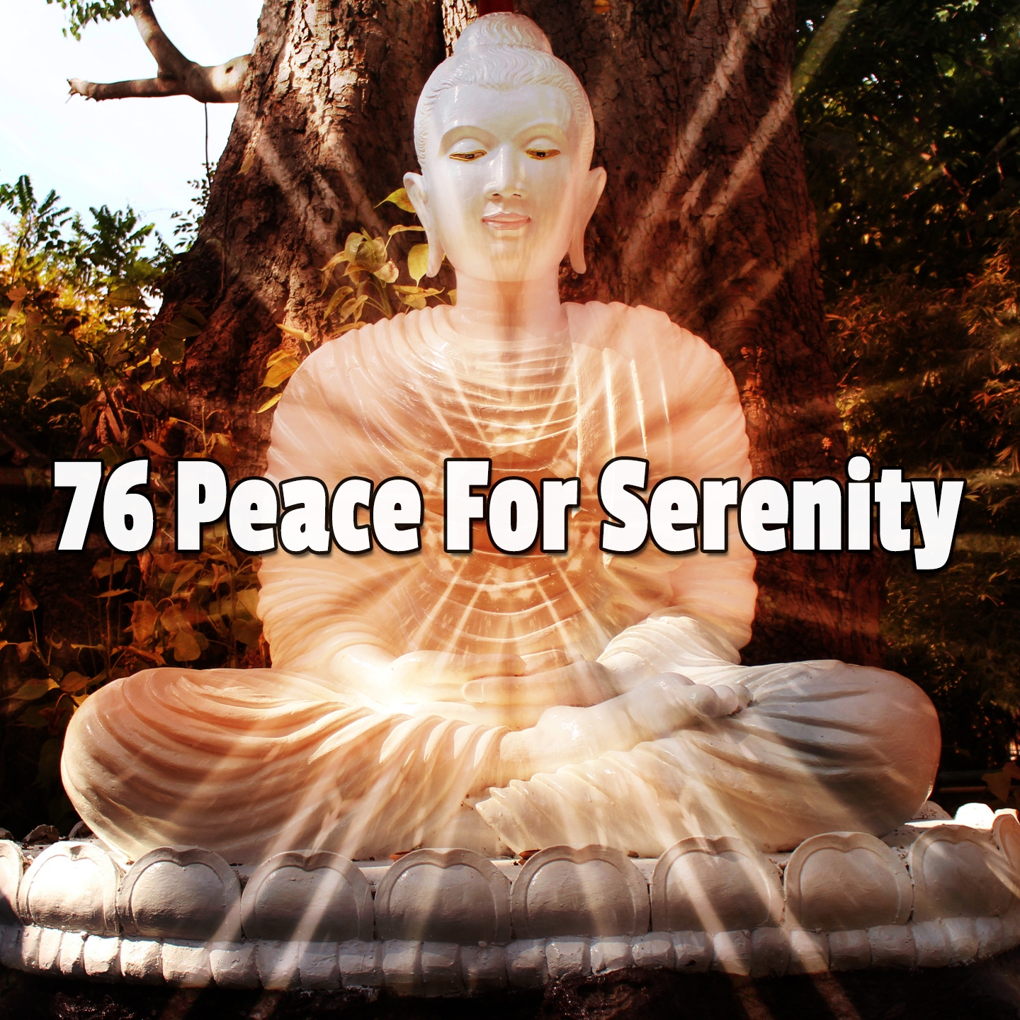 76 Peace For Serenity