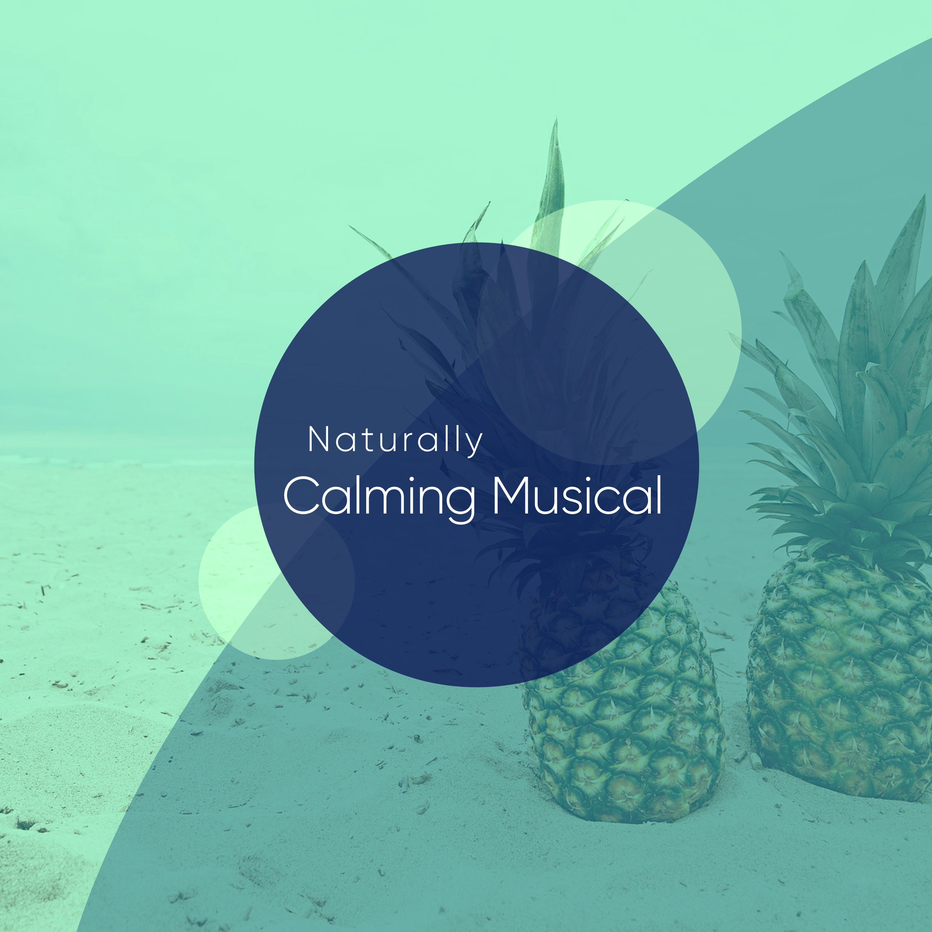 Naturally Calming Musical Classics for Sleep and Relaxing
