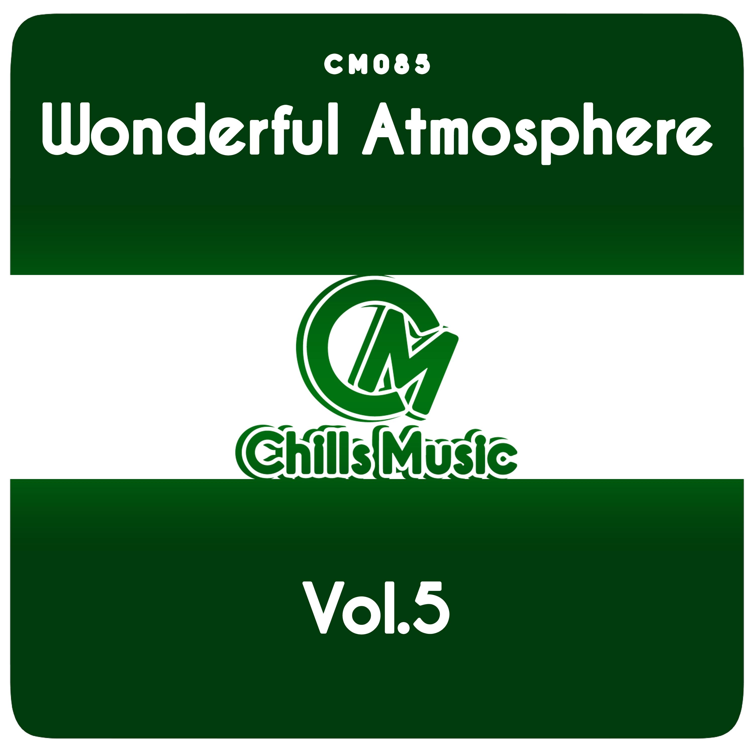 Wonderful Atmosphere Vol.5