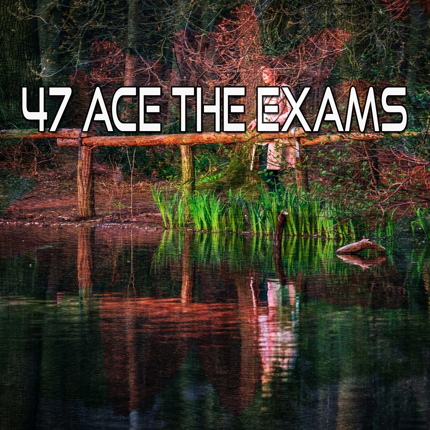 47 Ace The Exams