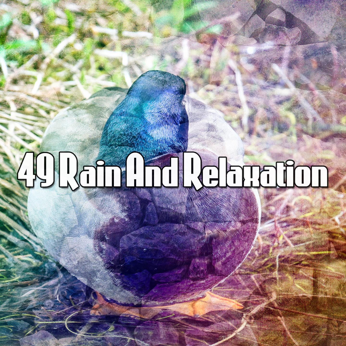 49 Rain And Relaxation