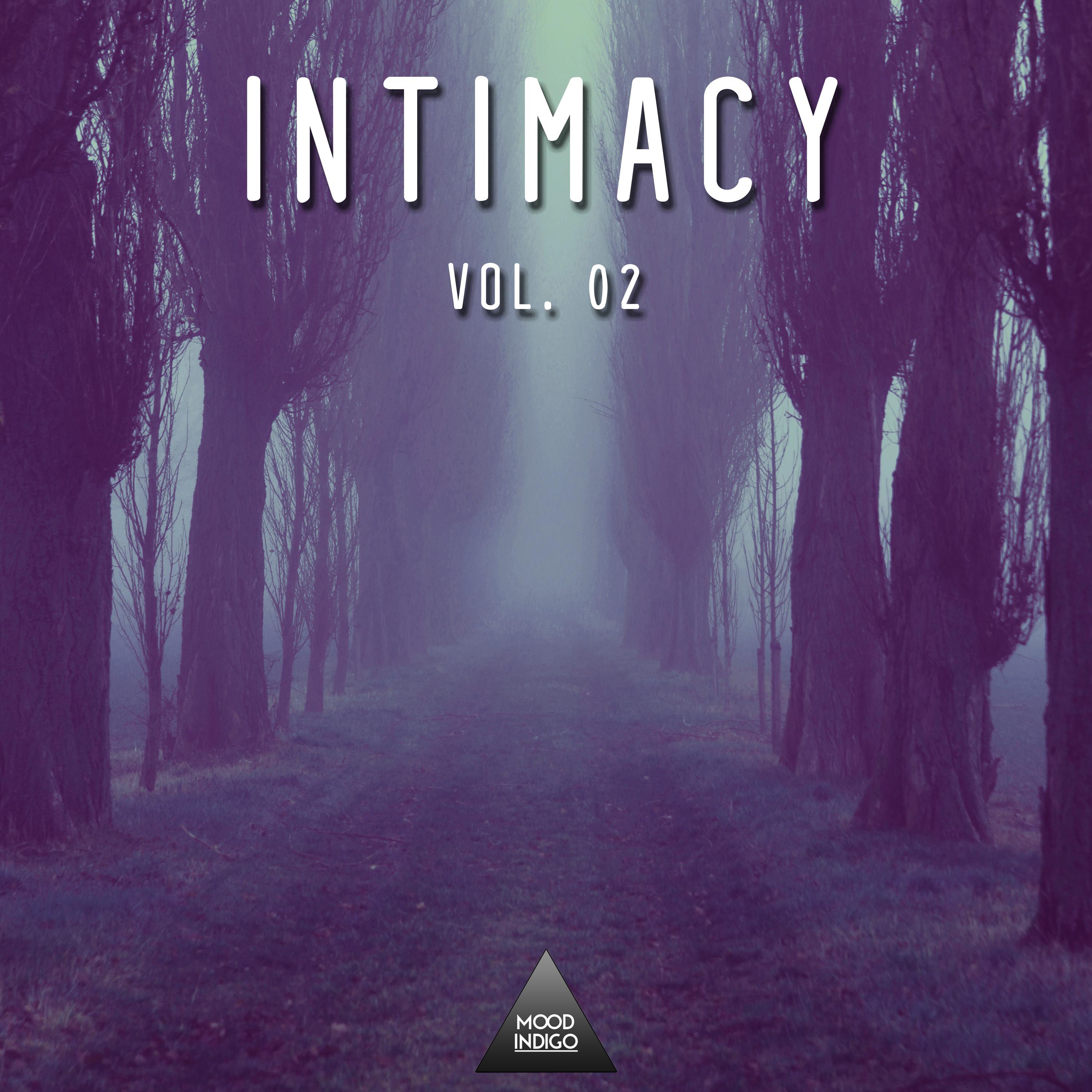 Intimacy, Vol. 02