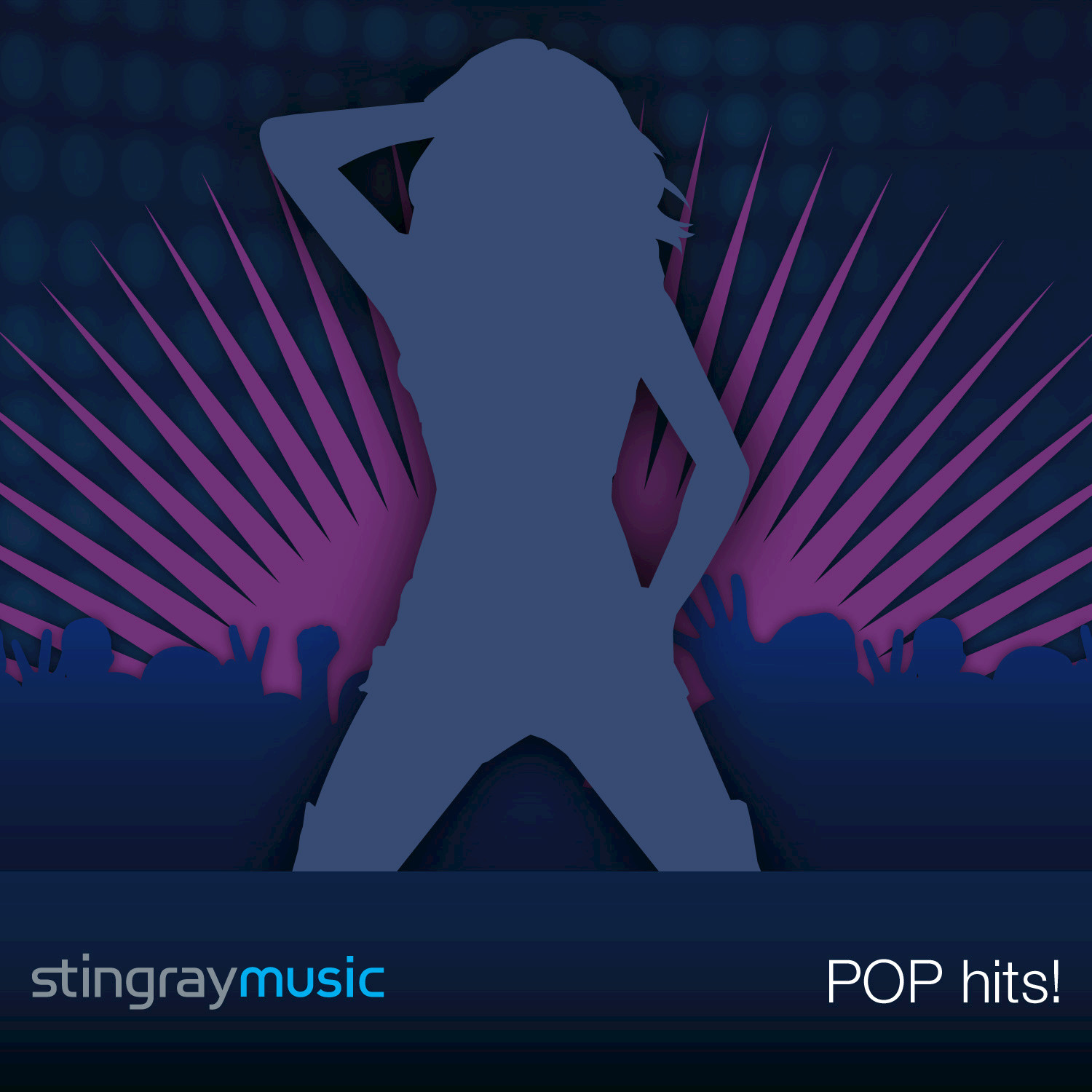 Stingray Music - Pop Hits of 1995, Vol. 5