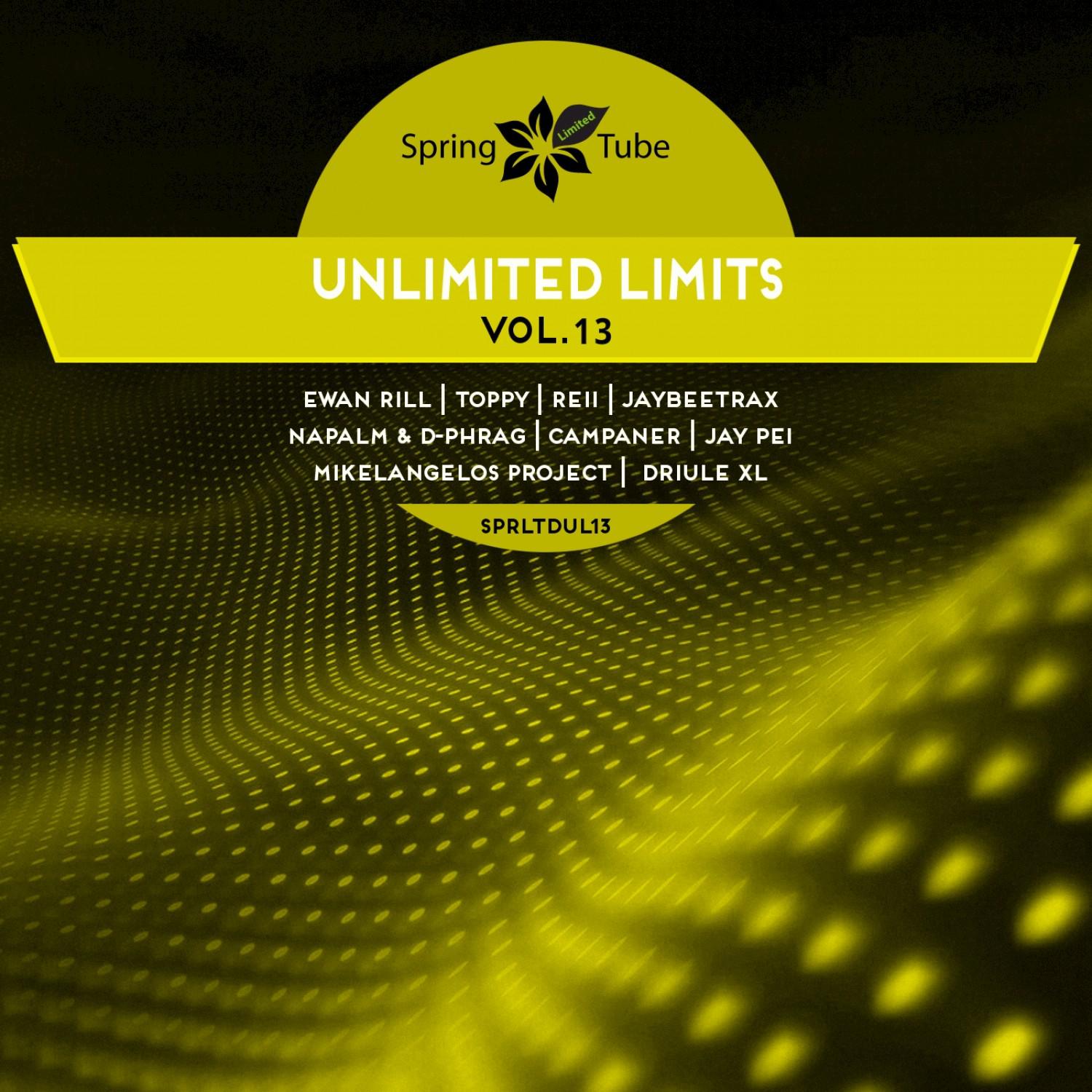 Unlimited Limits, Vol. 13