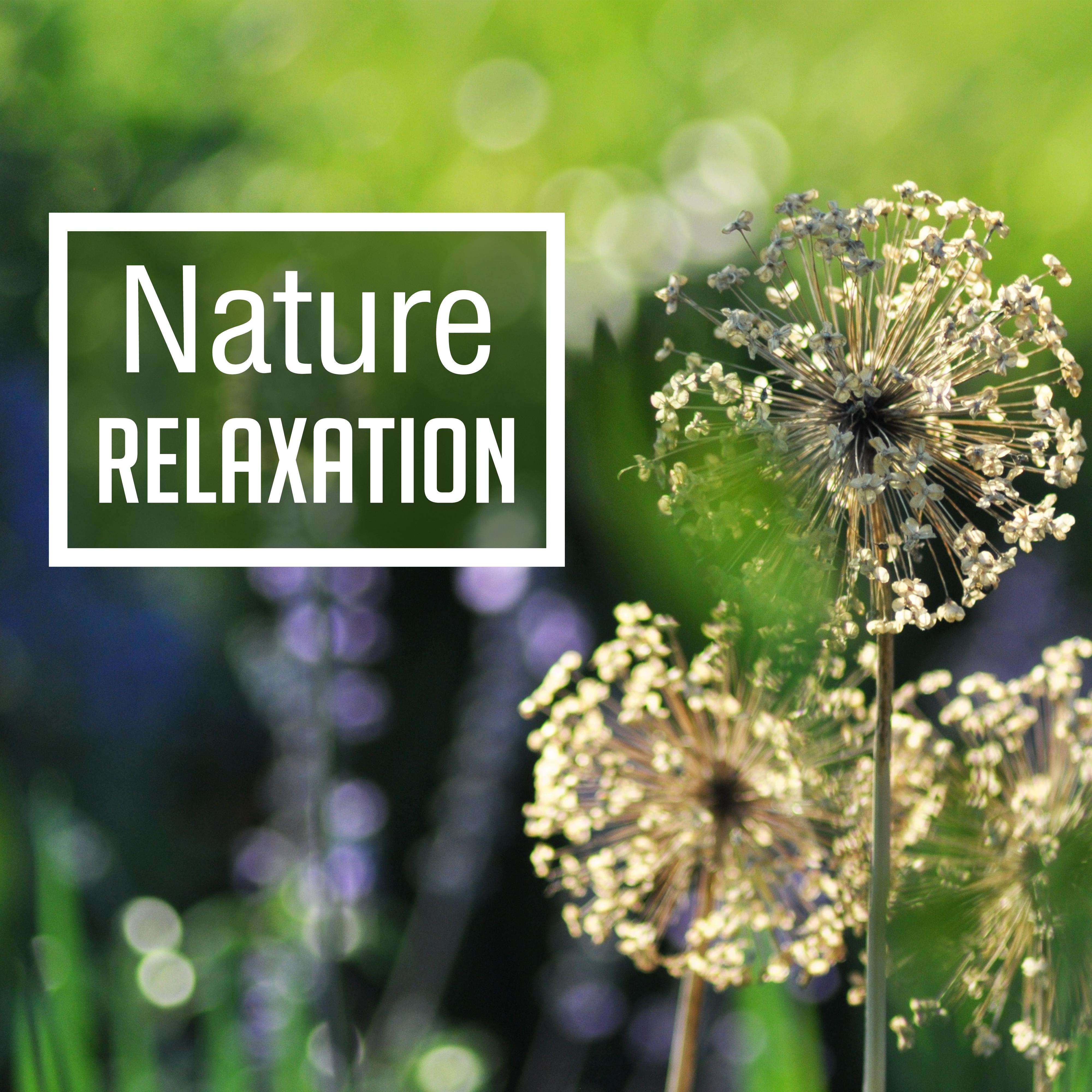 Nature Relaxation – Oriental Music for Massage, Spa, Wellness, Tibetan Calmness, Healing Nature, Rest