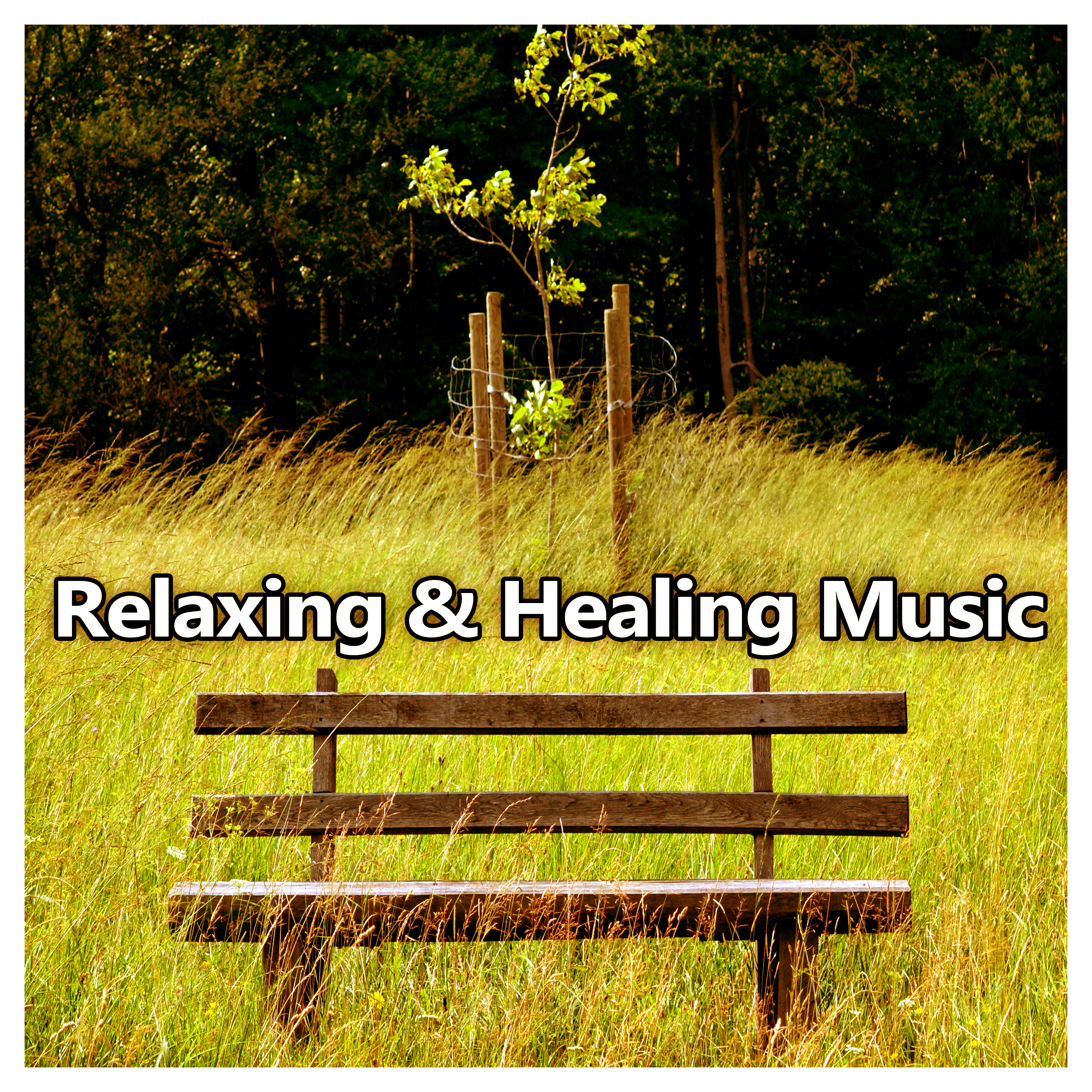 Relaxing & Healing Music – Soft Nature Sounds for Relax, Chill Yourself, Calming Music, Rest a Bit