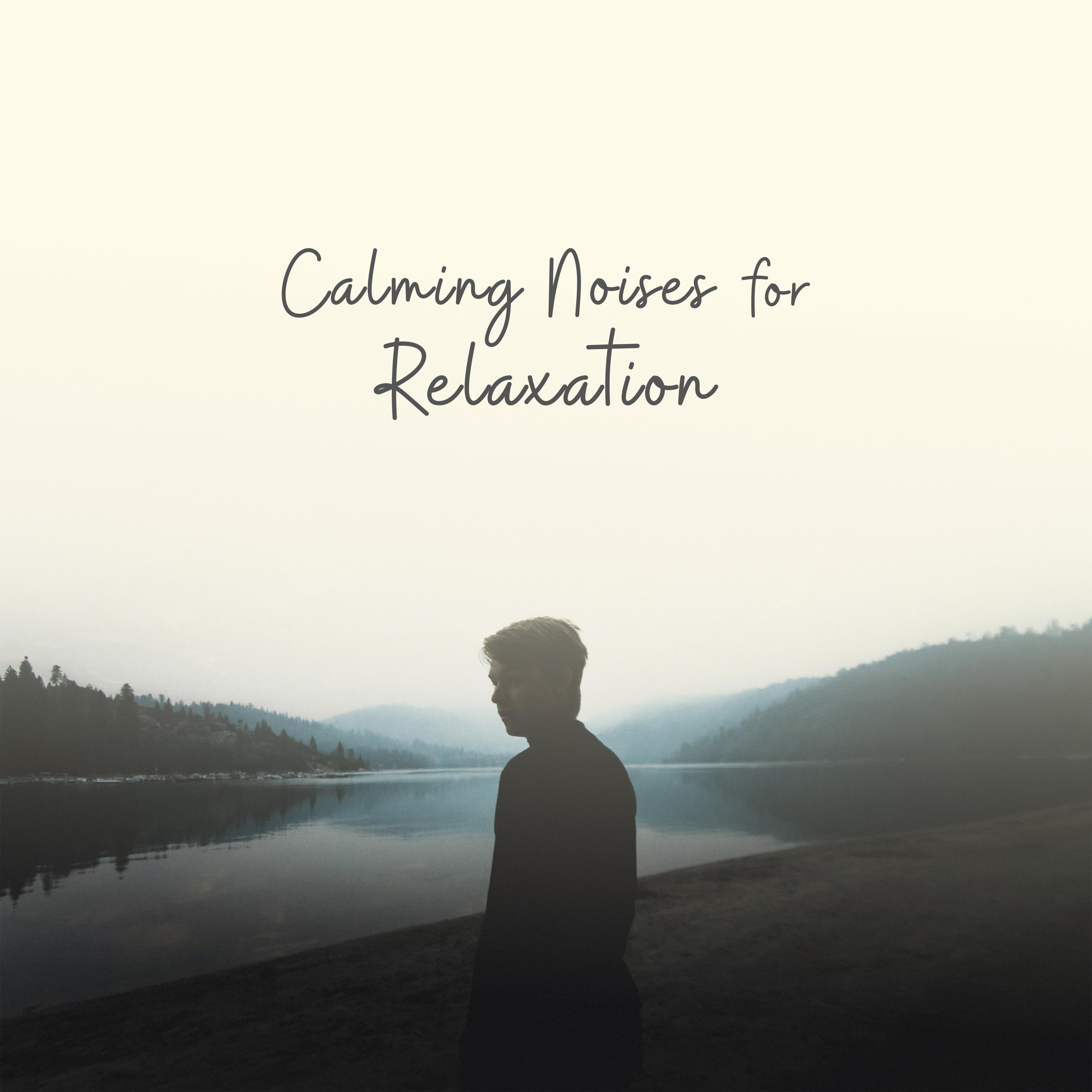 Calming Noises for Relaxation
