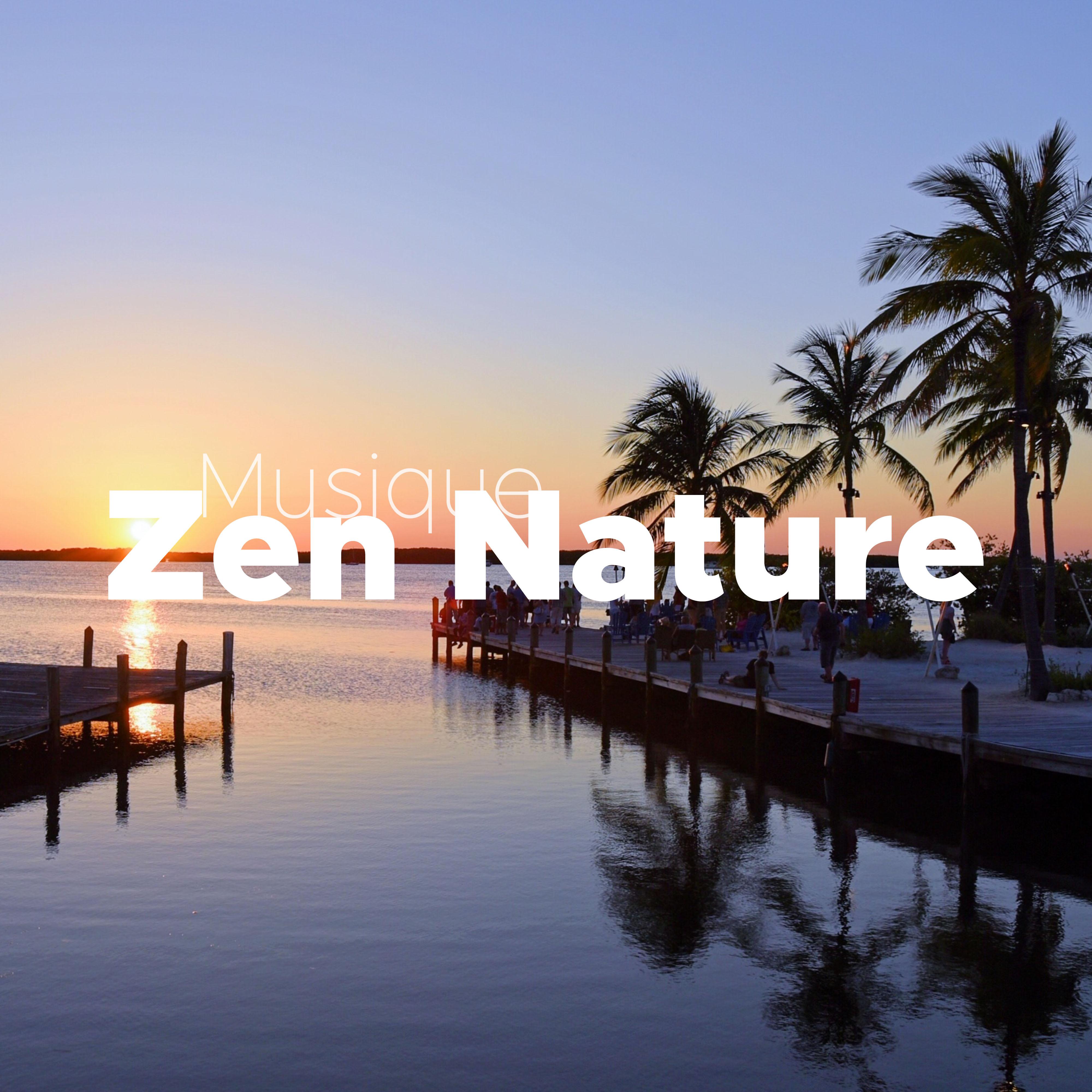 Musique Zen Nature