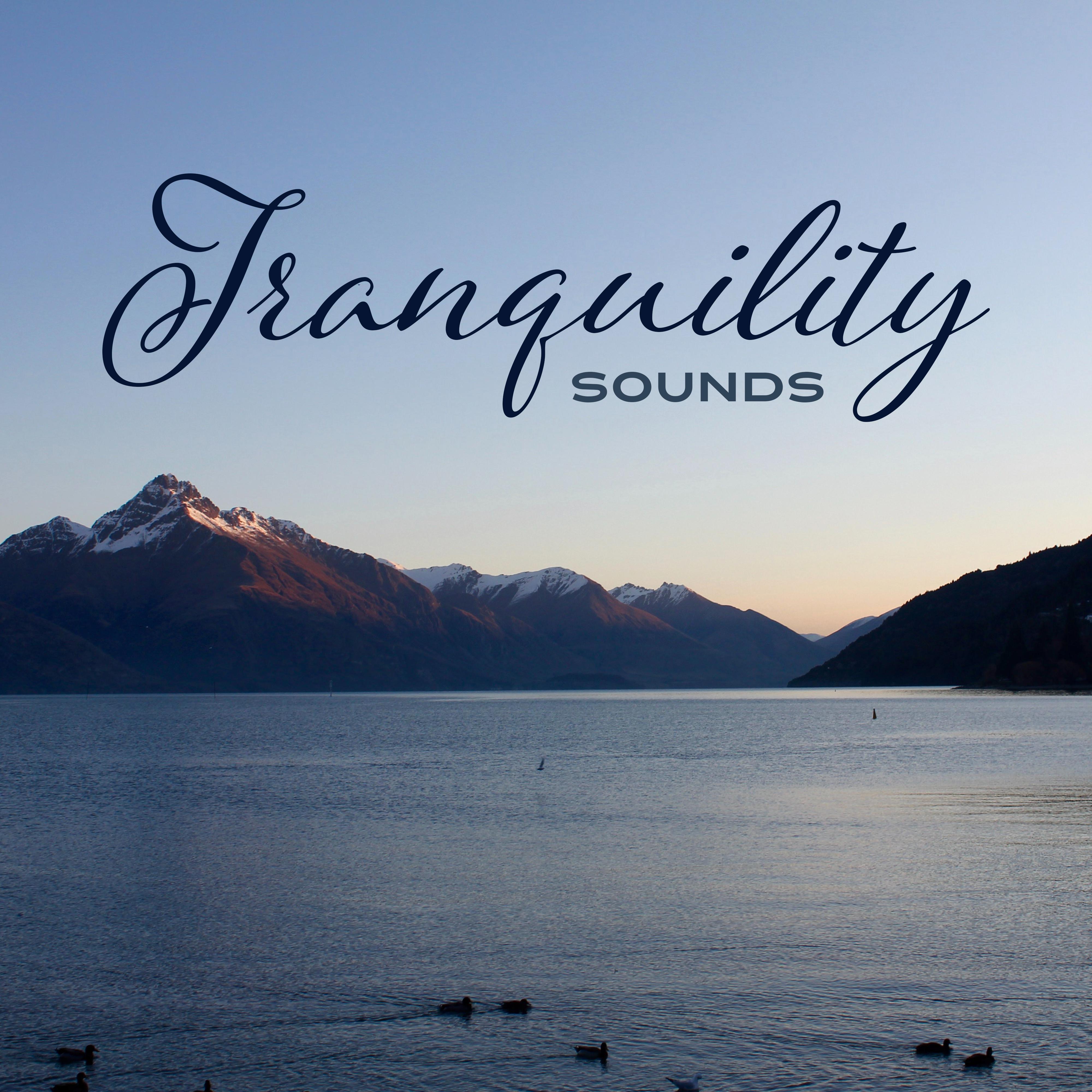Tranquility Sounds – Perfect Relaxation, Healing Music to Rest, Anti Stress Music, Meditate