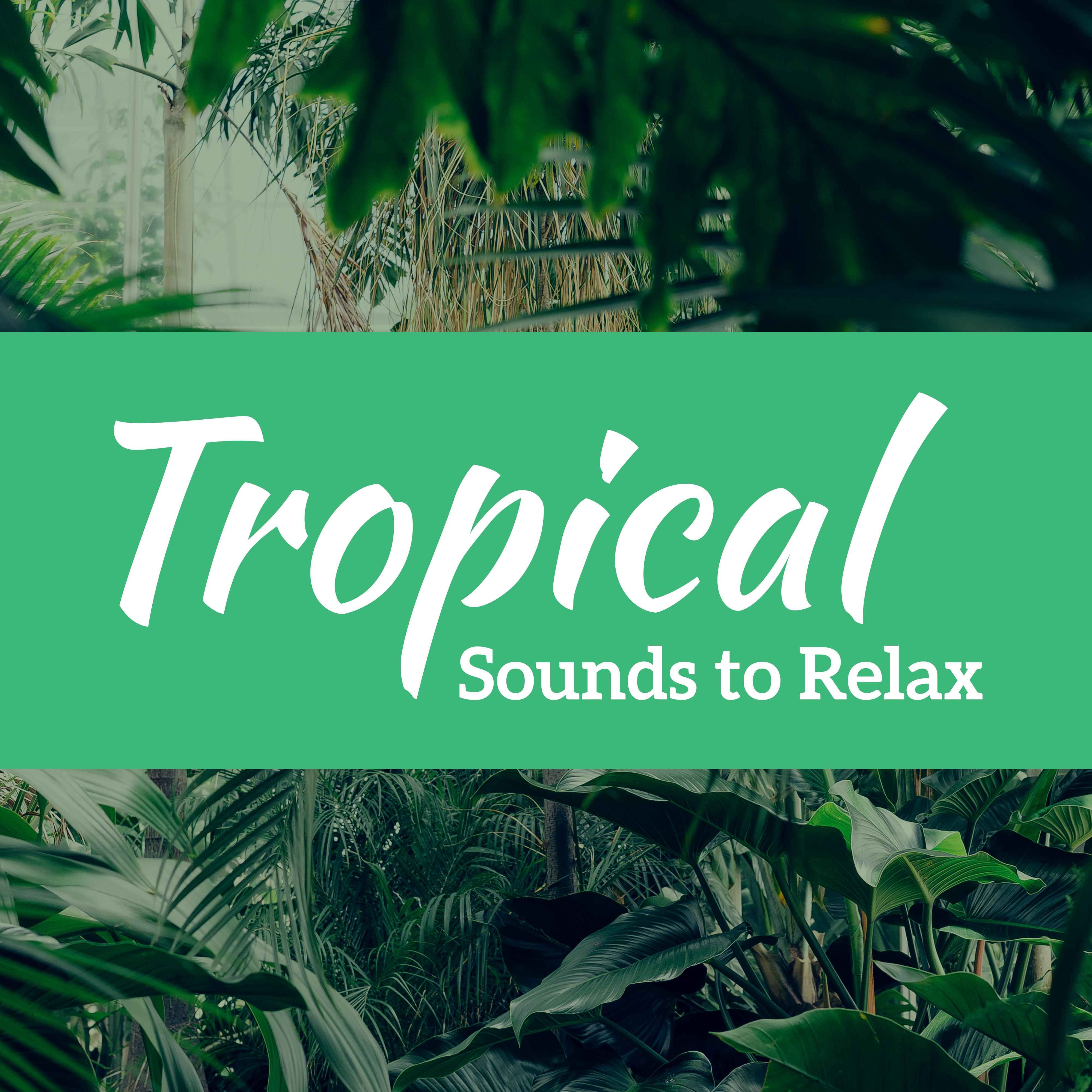 Tropical Sounds to Relax – Chill Out Beats 2017, Rest on the Beach, Island Coast, Stress Relief