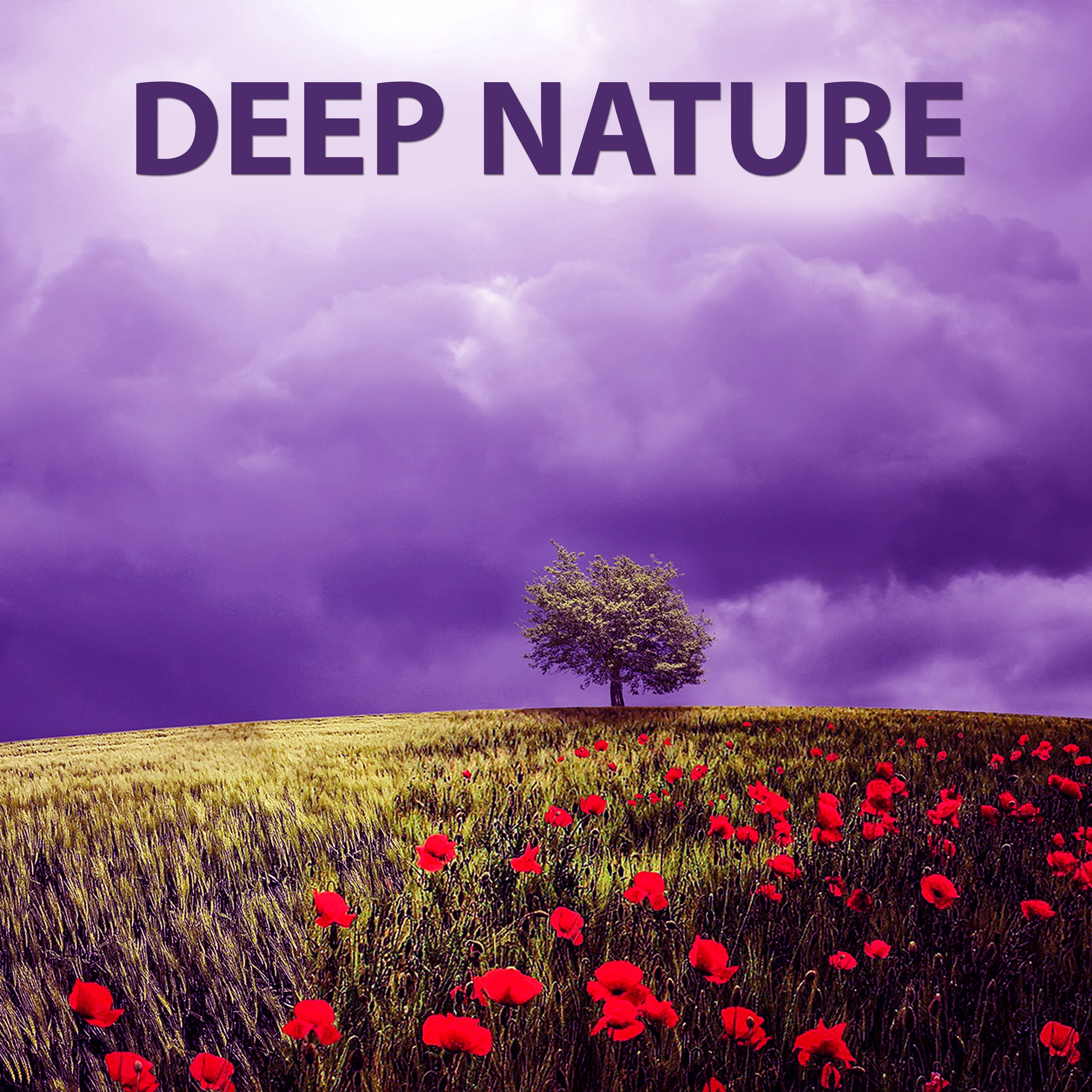 Deep Nature – Background Relaxing Pure Nature