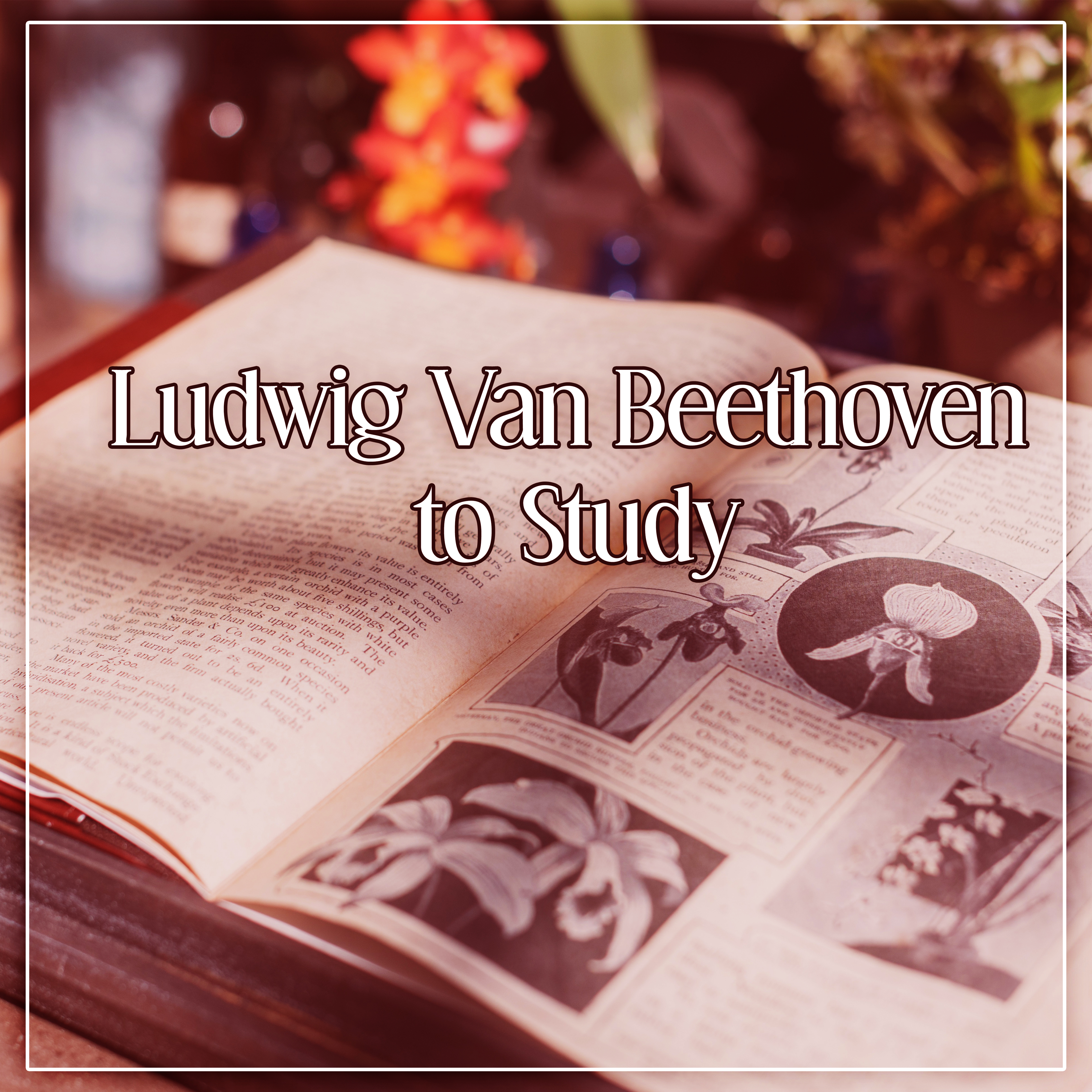 Ludwig Van Beethoven to Study – Train Your Brain, Classical Music to Study, Beethoven Songs, Clear Mind