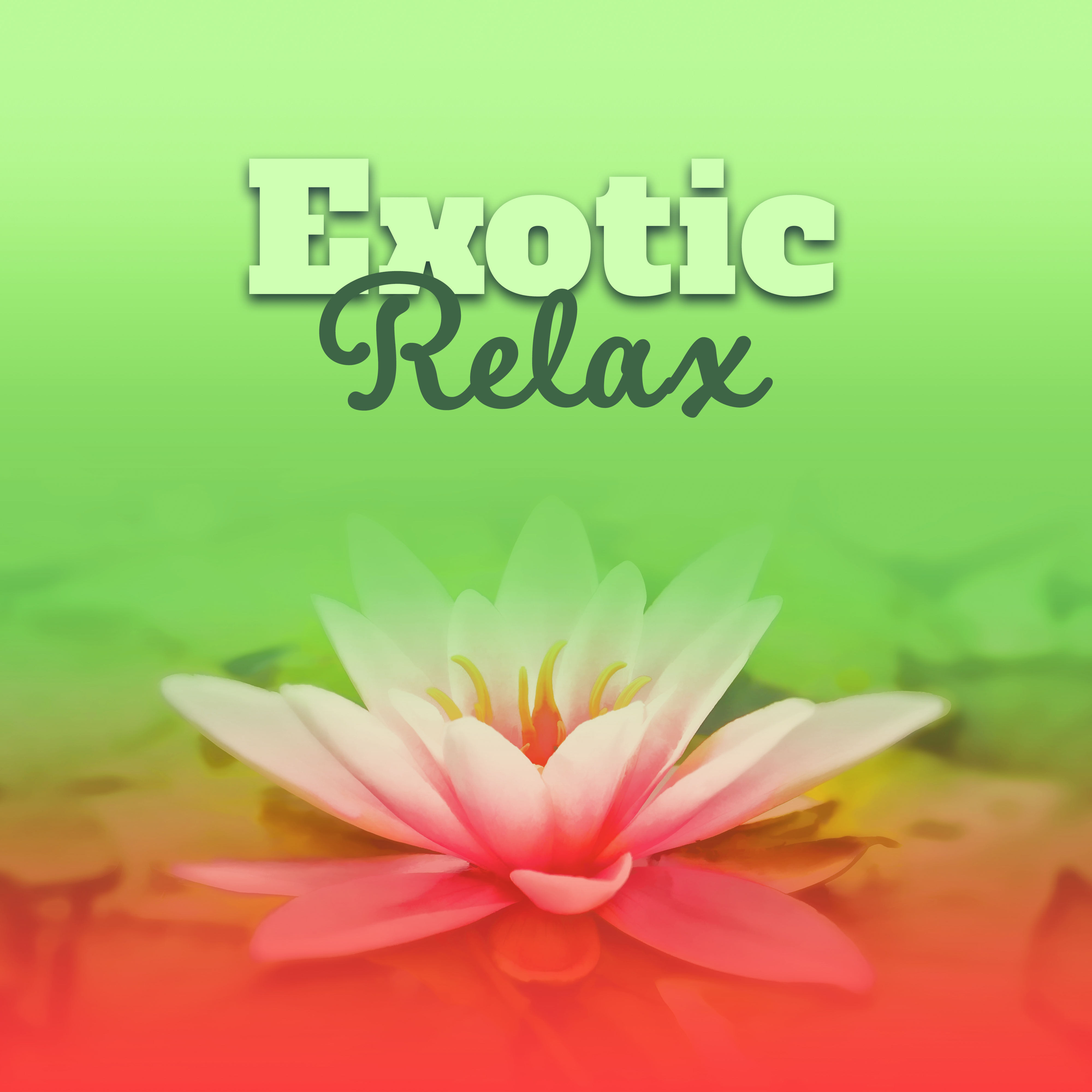 Exotic Relax – Chill Out 2017, Beach Music, Tropical Party, Summer Chill, Beach Paradise, Holiday Vibes