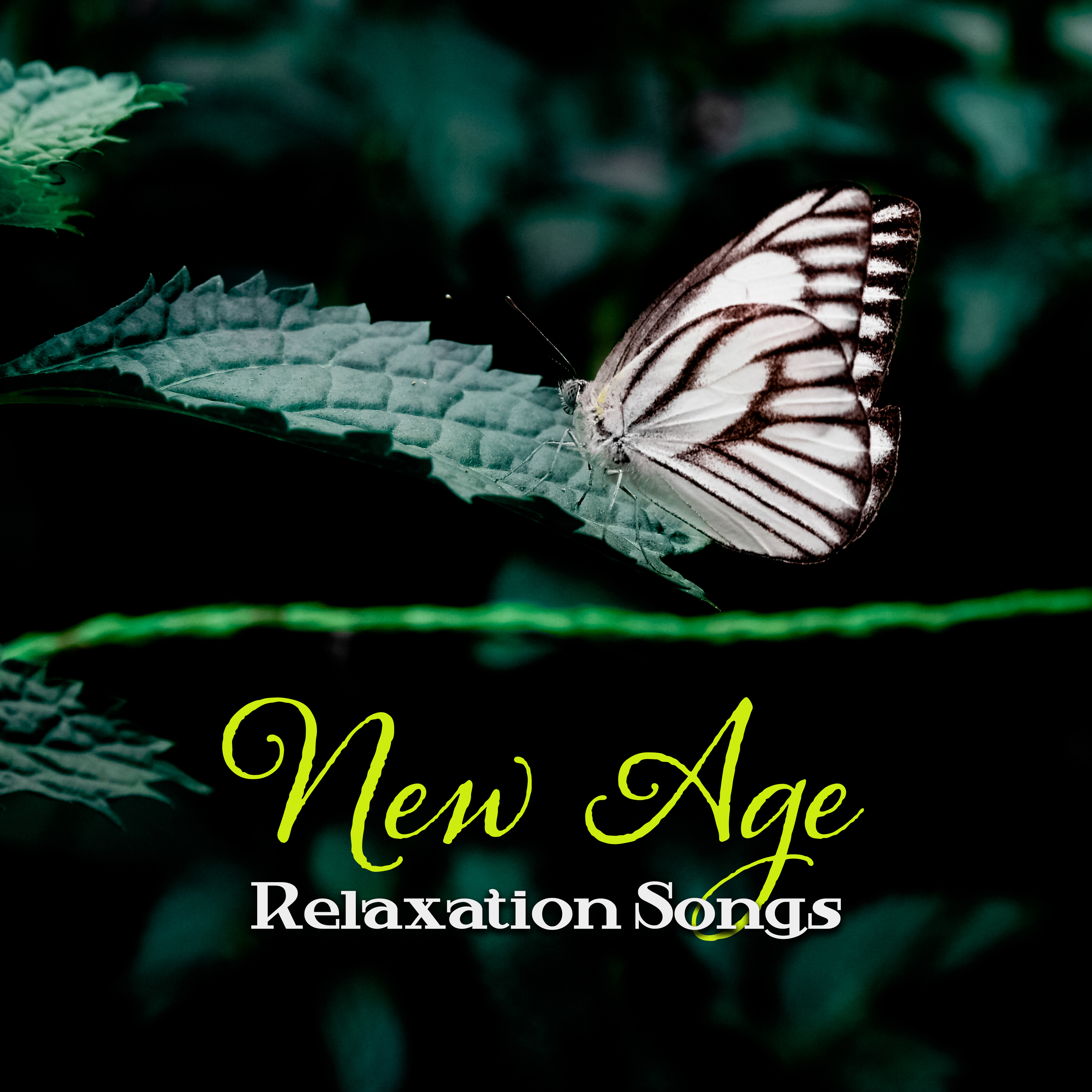 New Age Relaxation Songs – Relaxing New Age Songs, Peaceful Music to Rest, Time for You, Chilled Melodies for Your Mind & Body