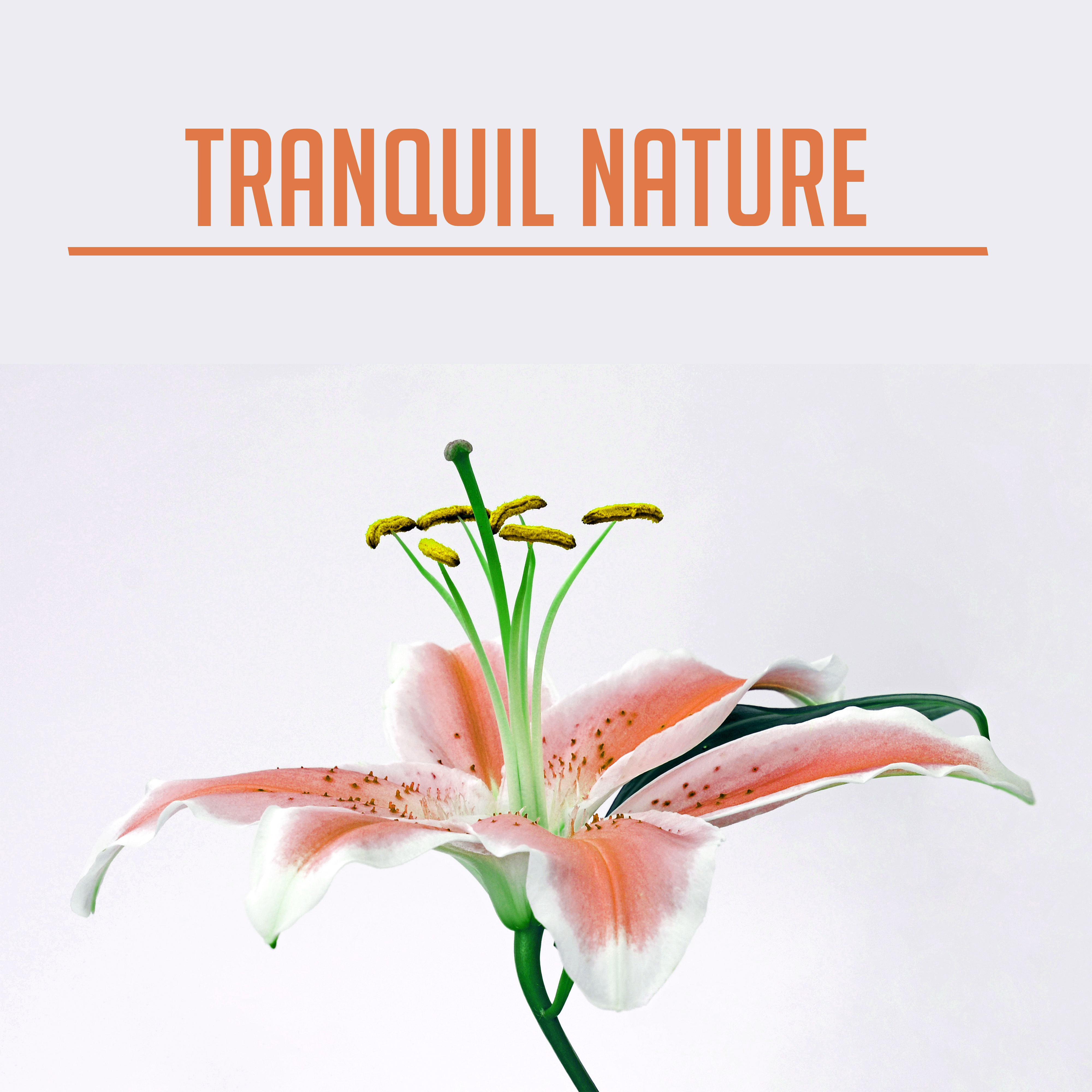 Tranquil Nature – Peaceful Music for Relaxation, Sleep, Healing, Zen Music, Deep Relief, Calmness & Harmony, Soothing Piano