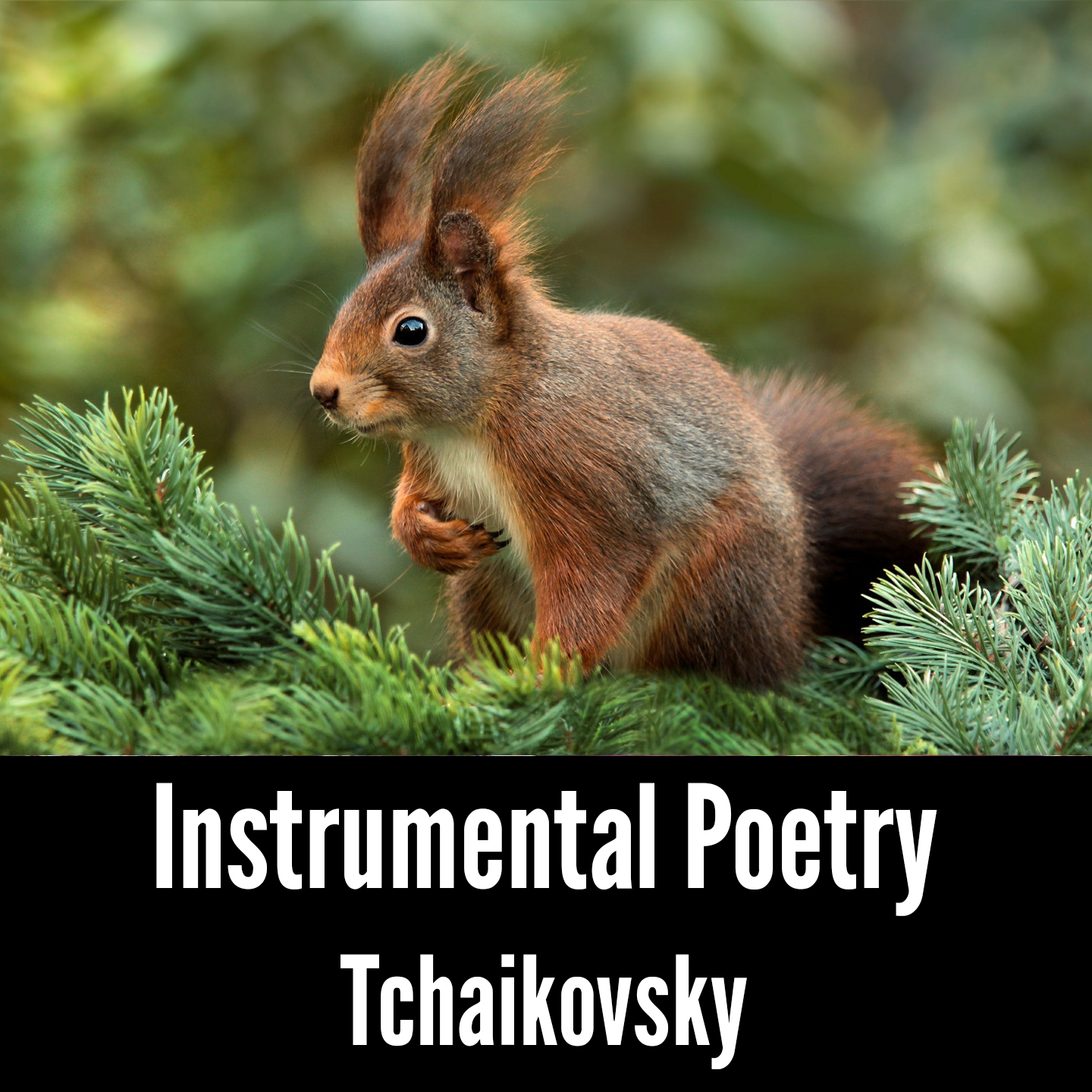 Instrumental Poetry: Tchaikovsky