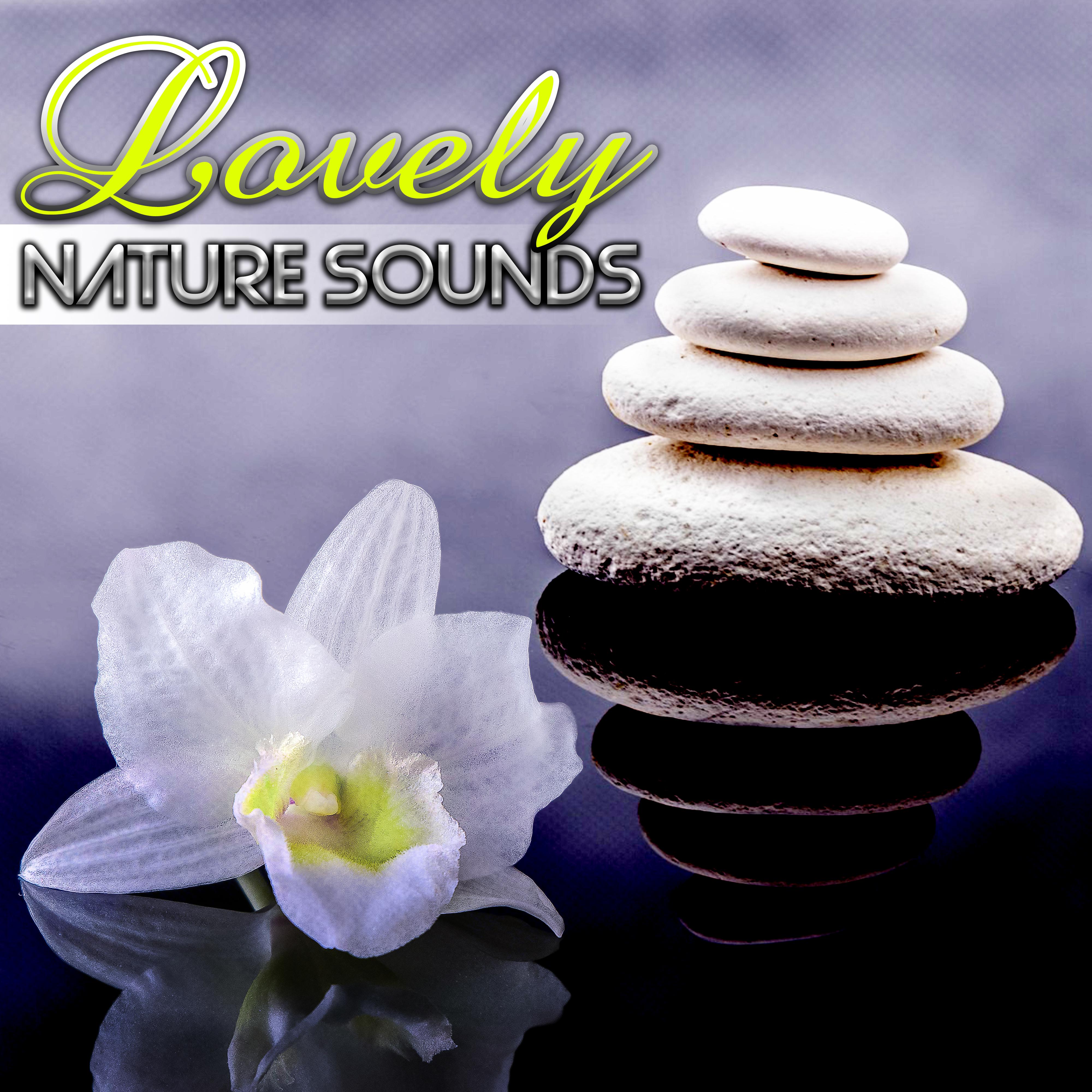 Lovely Nature Sounds