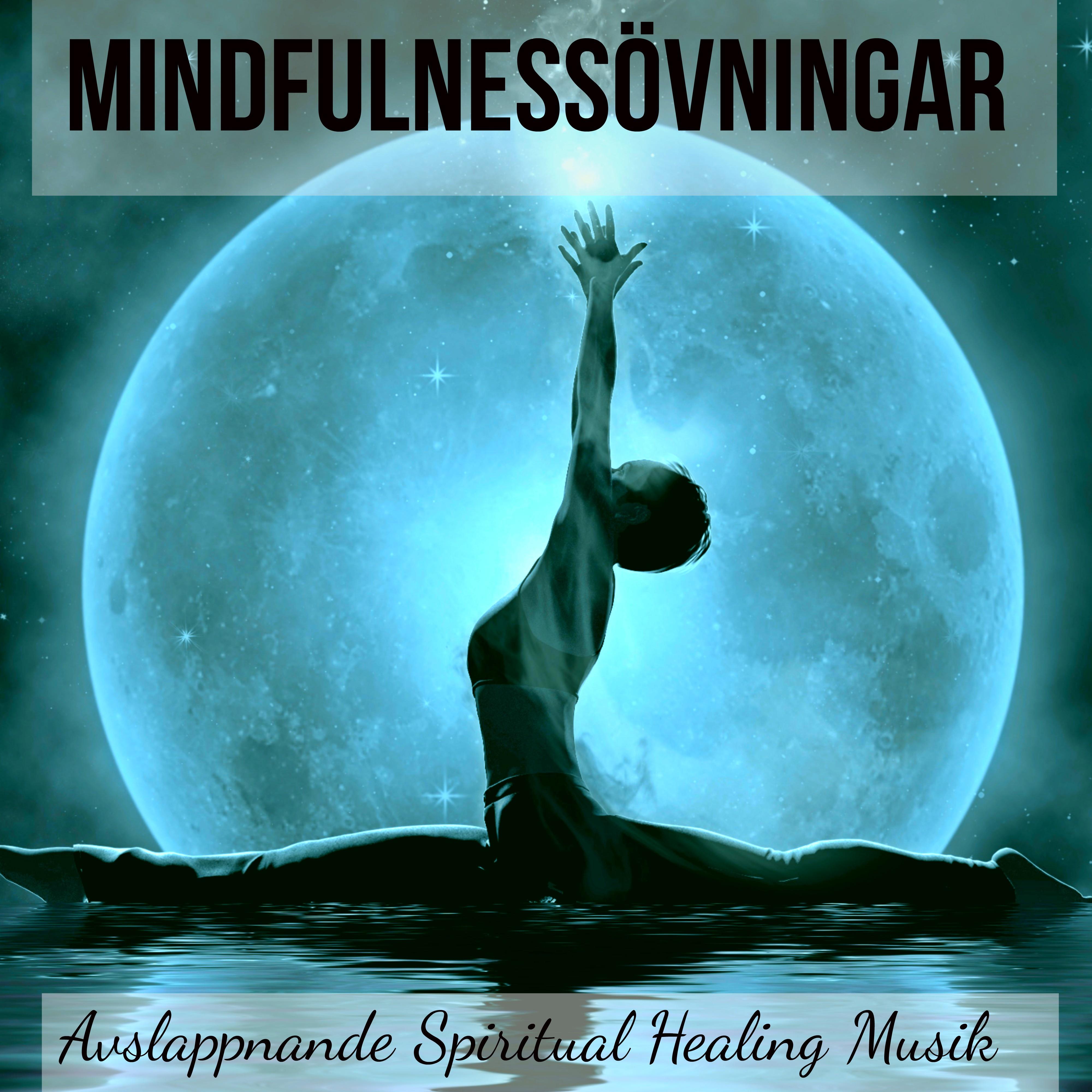 Mindfulnessövningar - Avslappnande Spiritual Healing Musik för Godnatt och Biofeedback Terapi, Natur Instrumental New Age Ljud