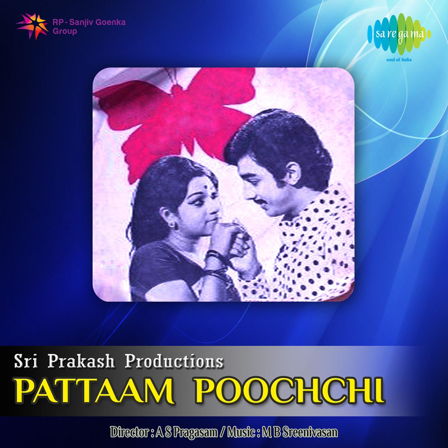 Pattaam Poochchi