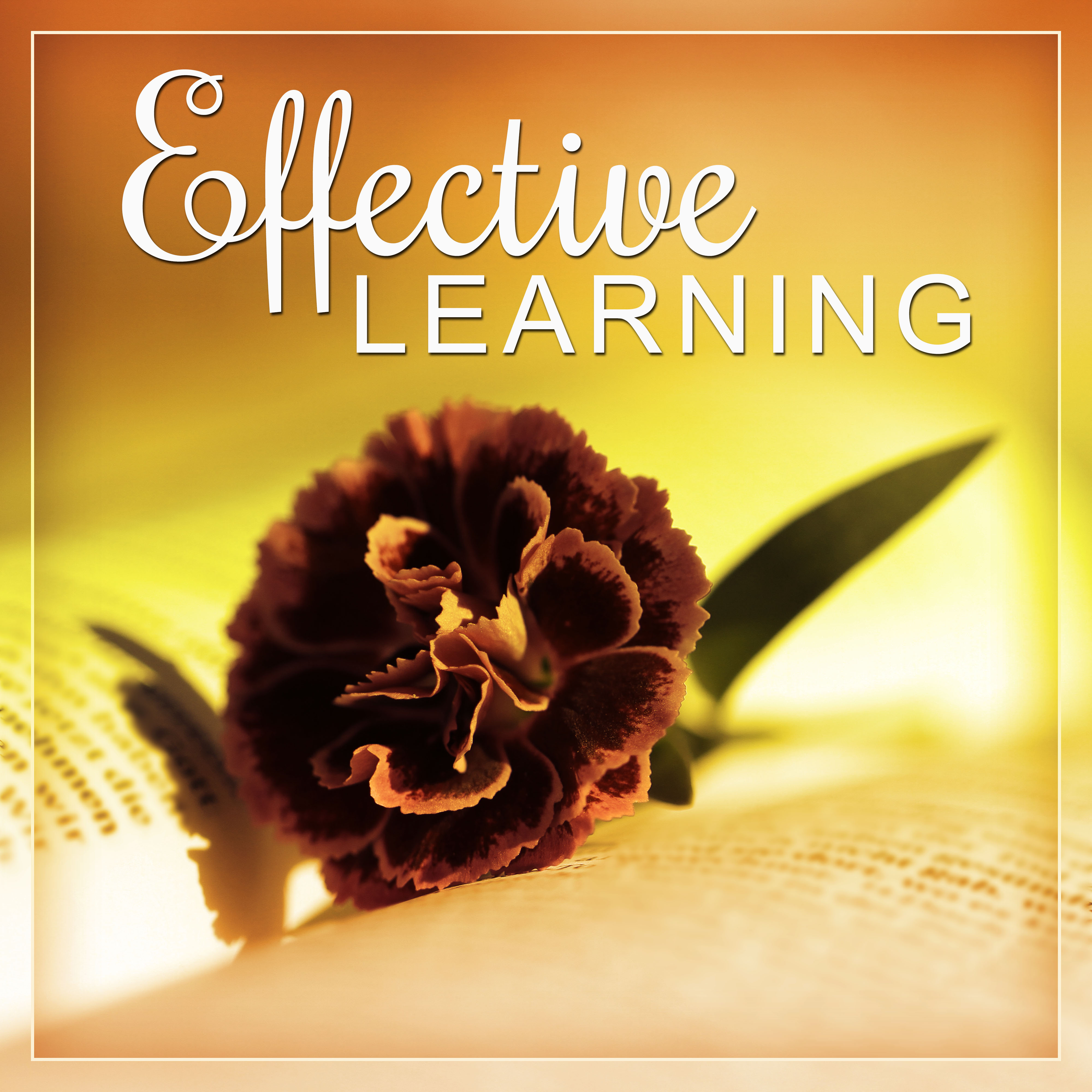 Effective Learning – Study with Bach, Active Listening Classical Music, Fast Concentration, Clear Mind