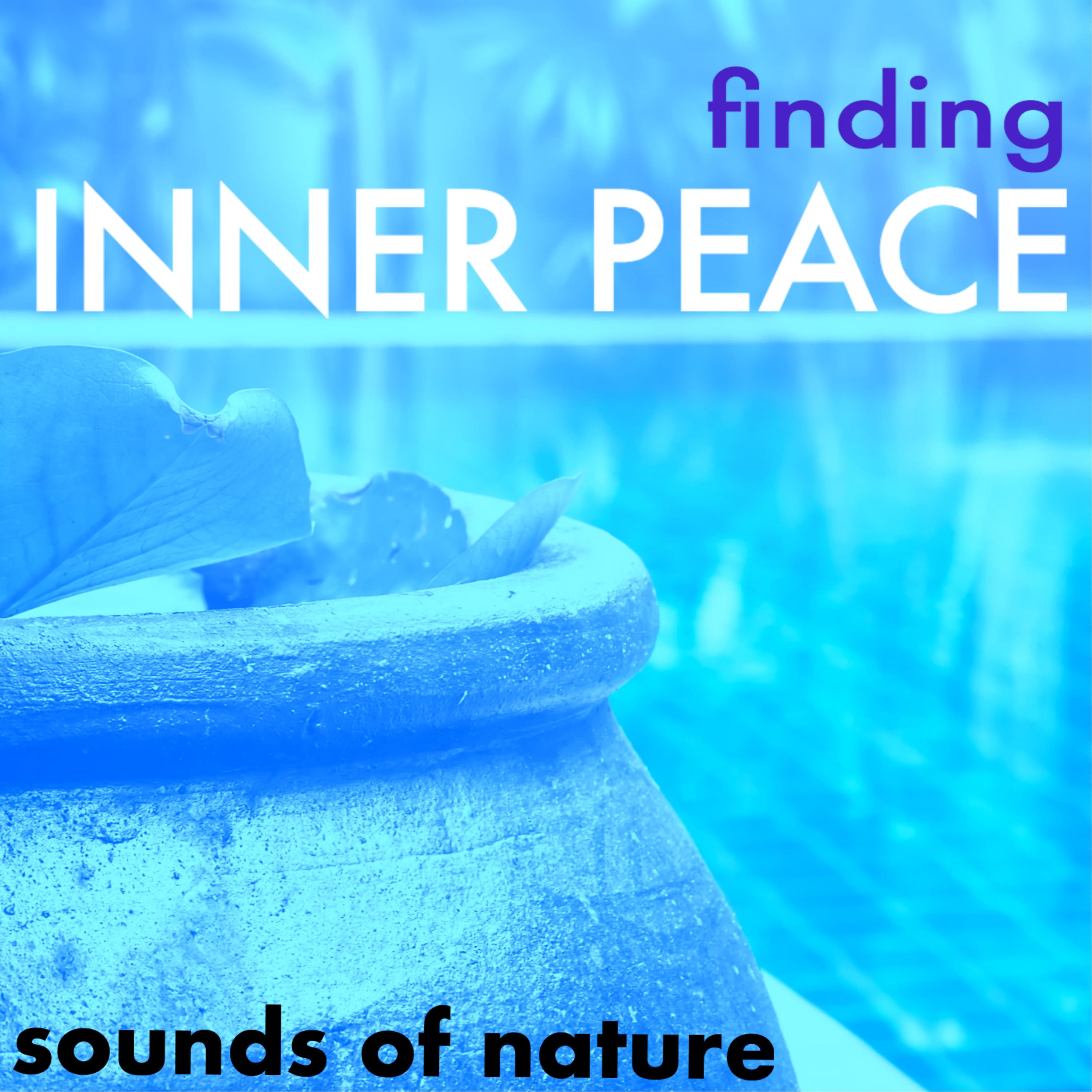 Finding Inner Peace - Reiki Treatment & Zen Meditation Sounds of Nature, Buddhist Songs