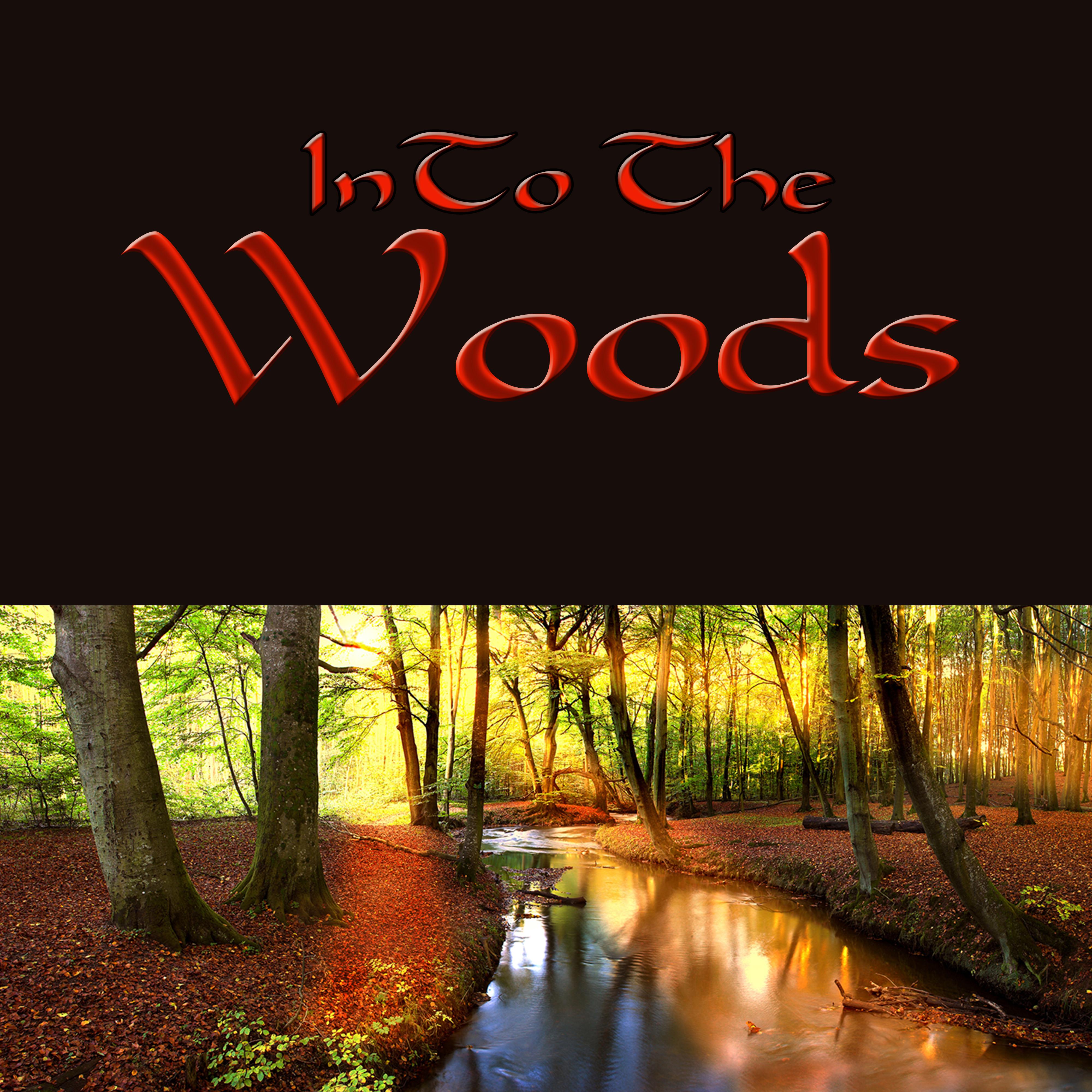 Into the Woods – Nature Sounds Magic Music for Relaxation Meditation (Forest, Wood, Rain, River, Cricket and Birds Sounds)